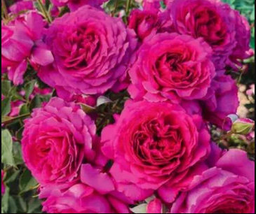 Light Years Away™ Patio Tree