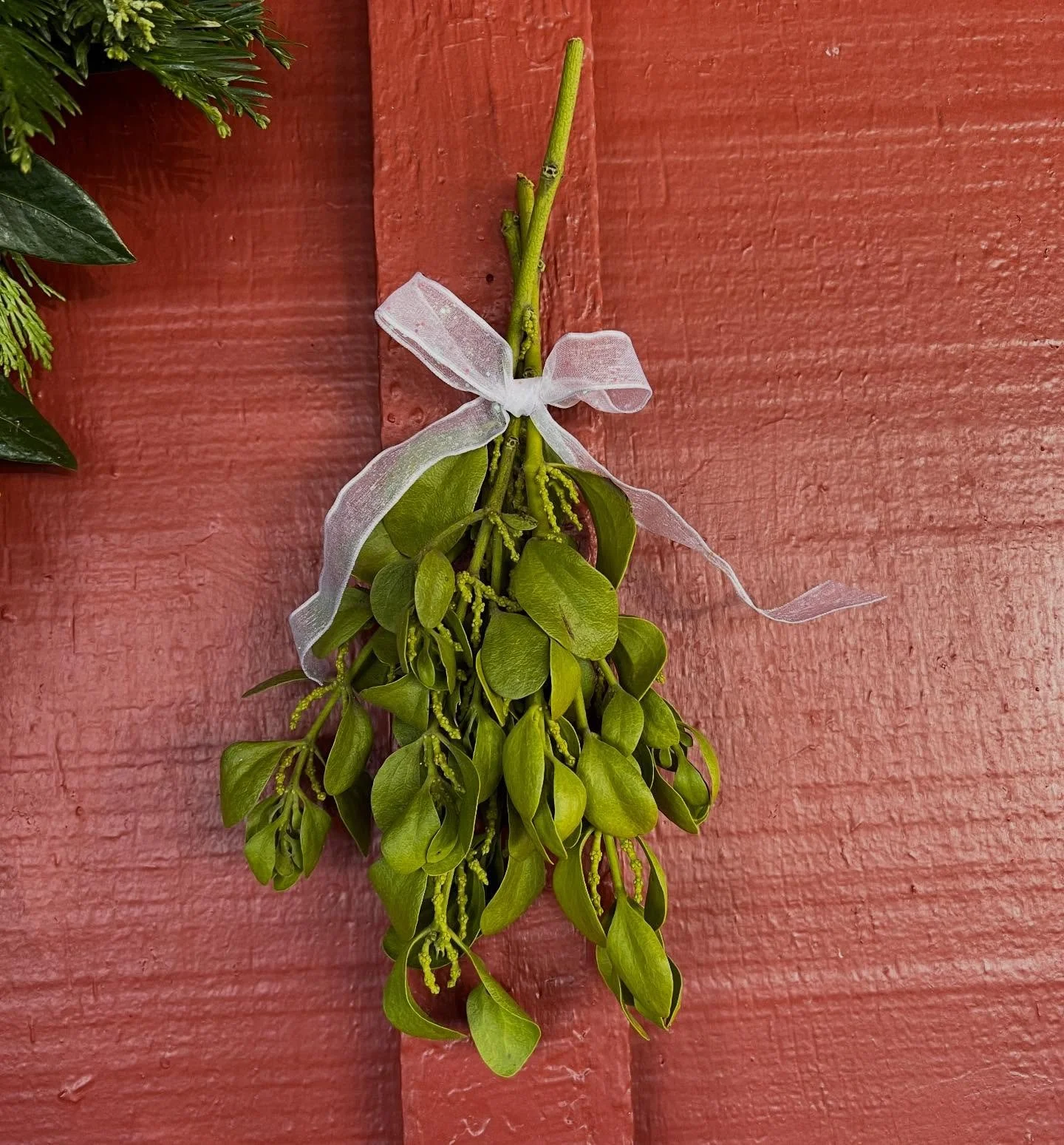 Who&rsquo;s ready for a Christmas kiss? 💋