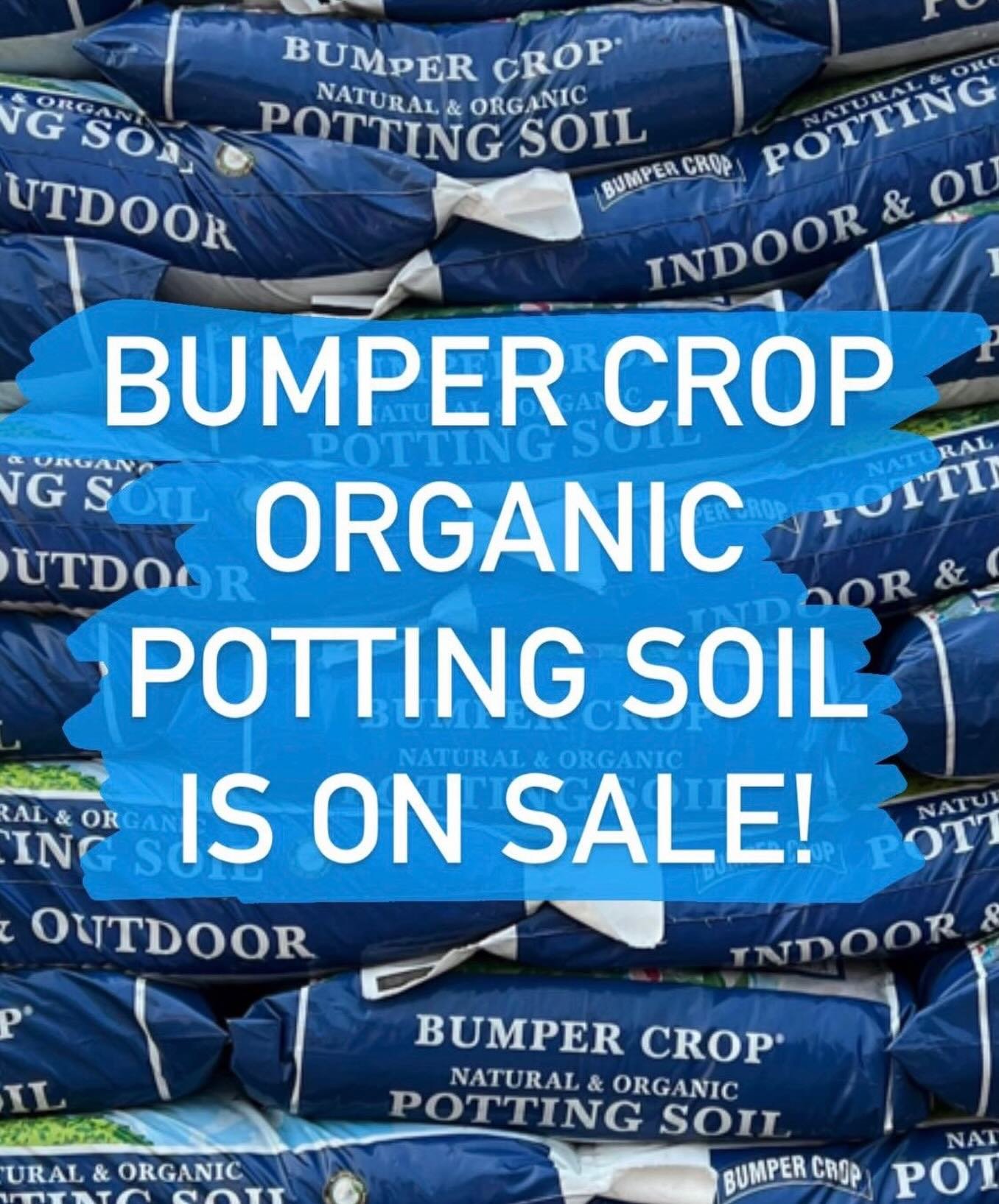 Bumper Crop Organic Potting Soil is on sale while supplies last! Buy 3 bags and get a 4th bag FREE. This is a perfect soil for raised beds and containers.