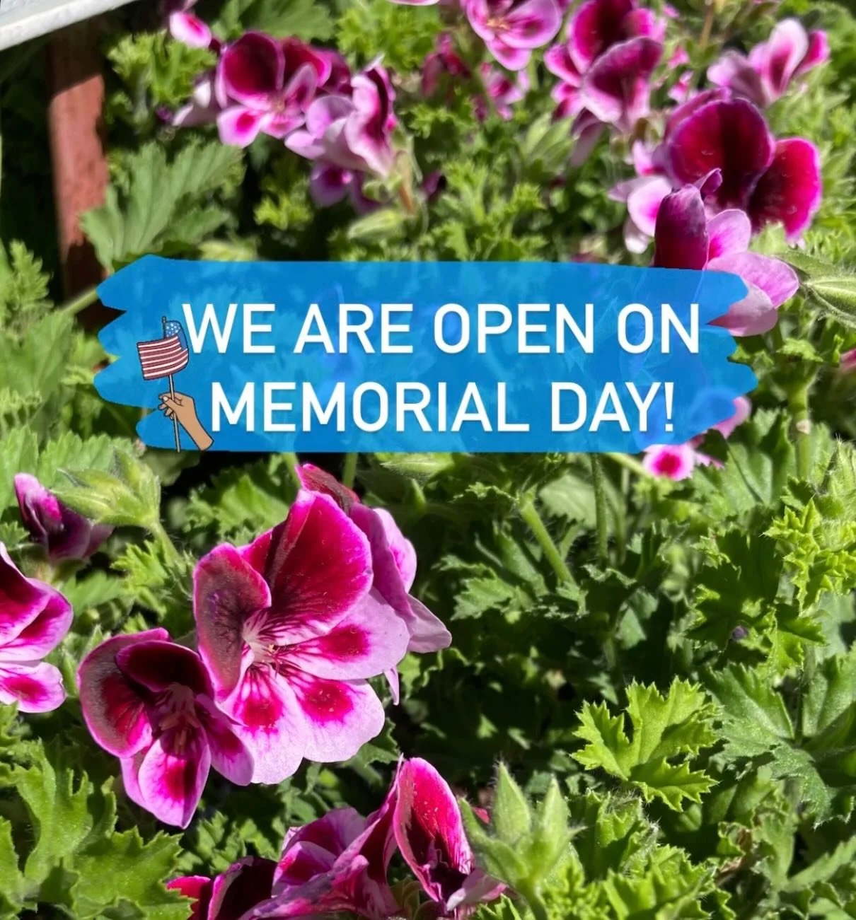 🇺🇸 Fully stocked with colorful flowers! 🌹🌸🌺🌷🌻🌼🪷