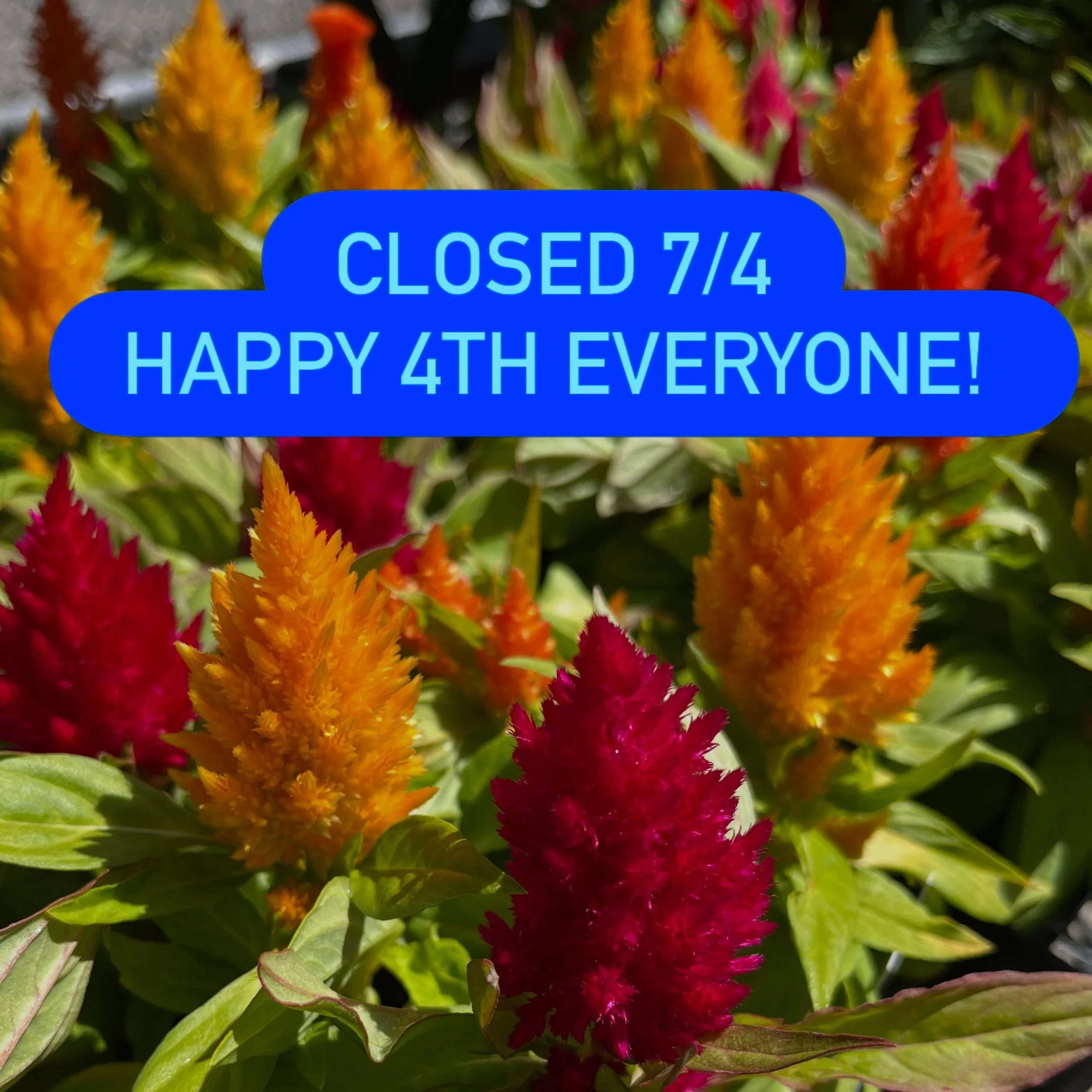 Enjoy the fireworks and drone show, Napa! 🎆🎇🎆🎇🎆