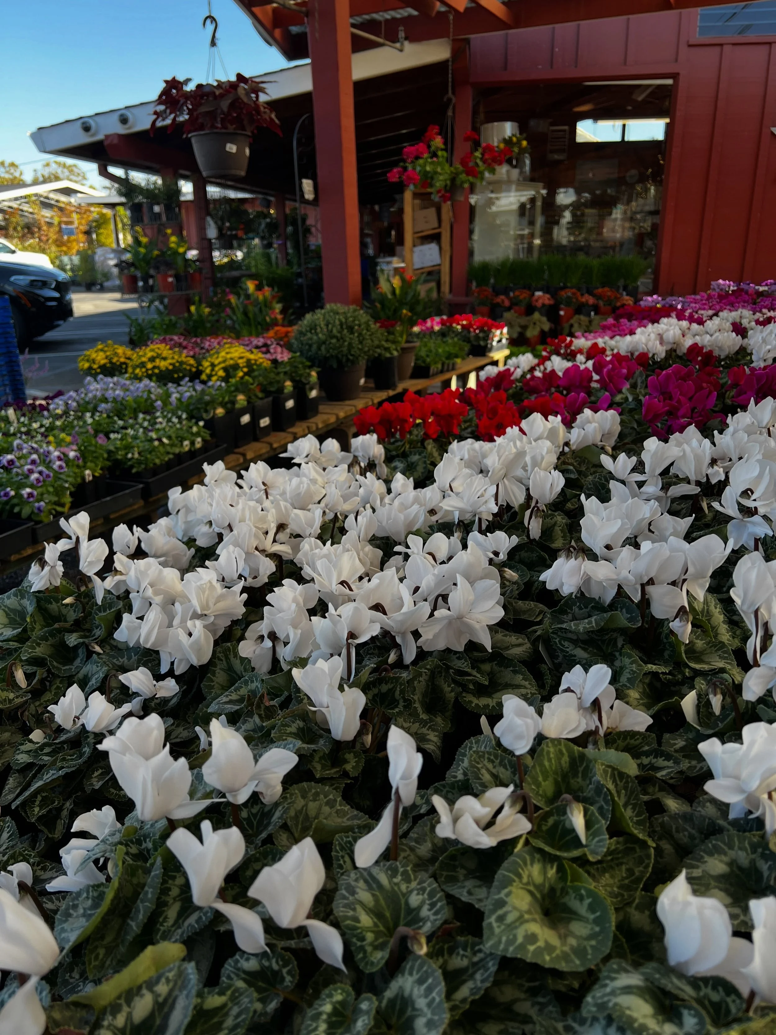 We are PACKED with fun options and can&rsquo;t wait for this weekend&rsquo;s PRFERCT weather! 🤩