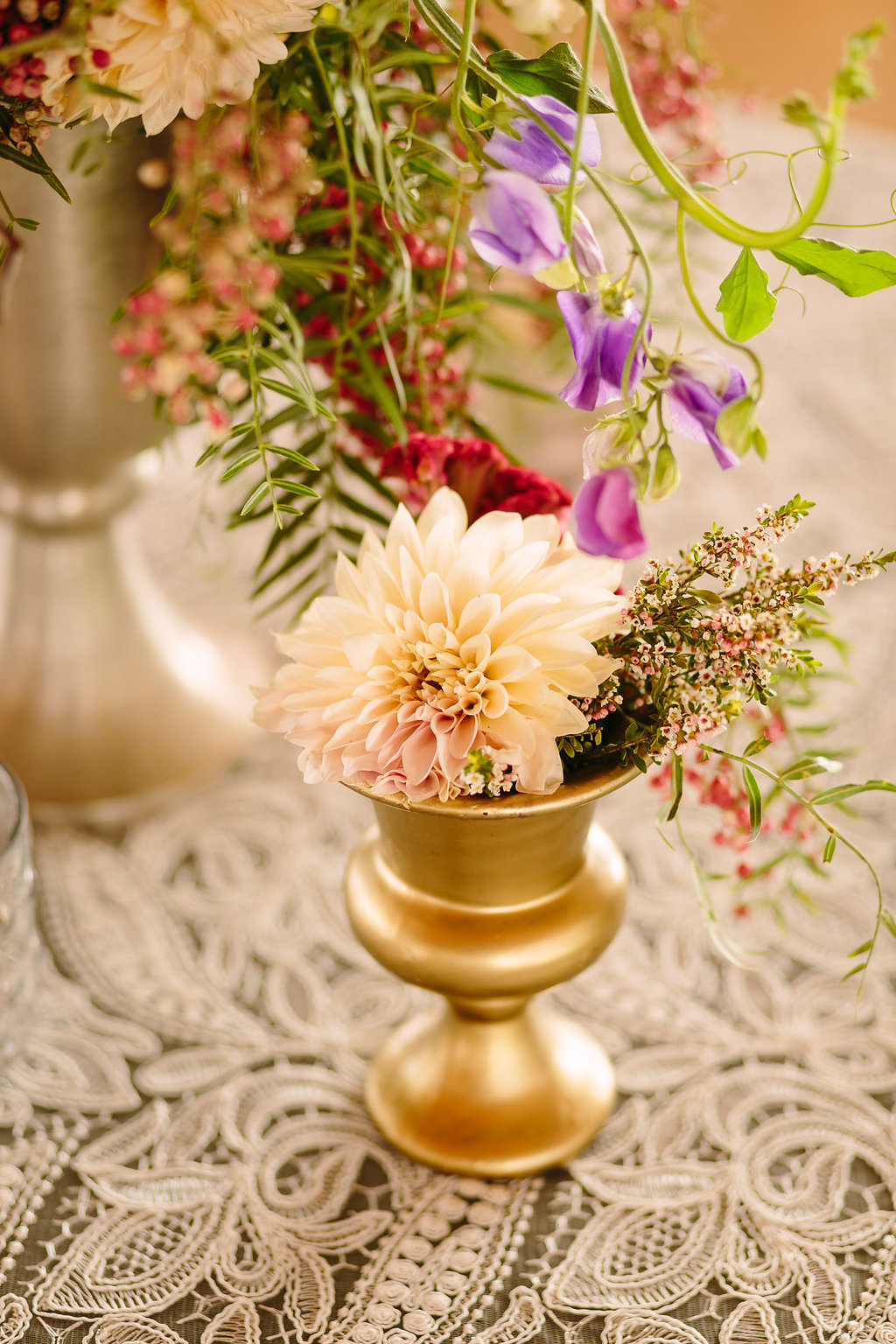 #fallatthefarmhouse2015Photos-BrianLeahyPhoto-0029.jpg