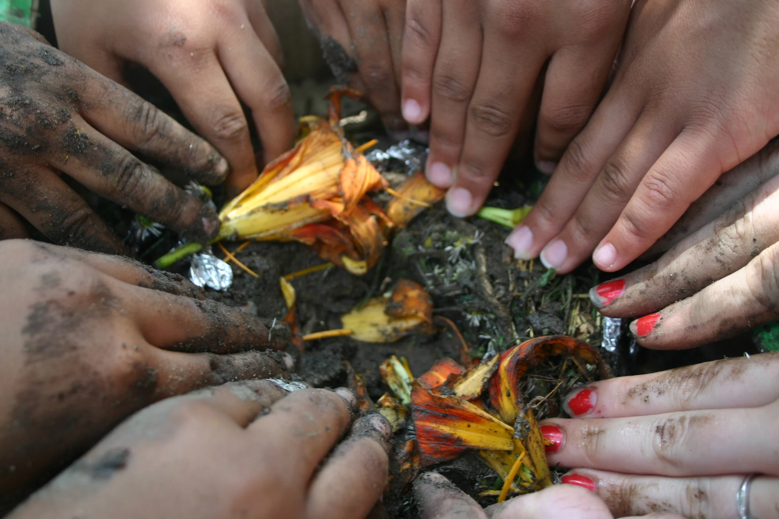 Making a bird nest.JPG