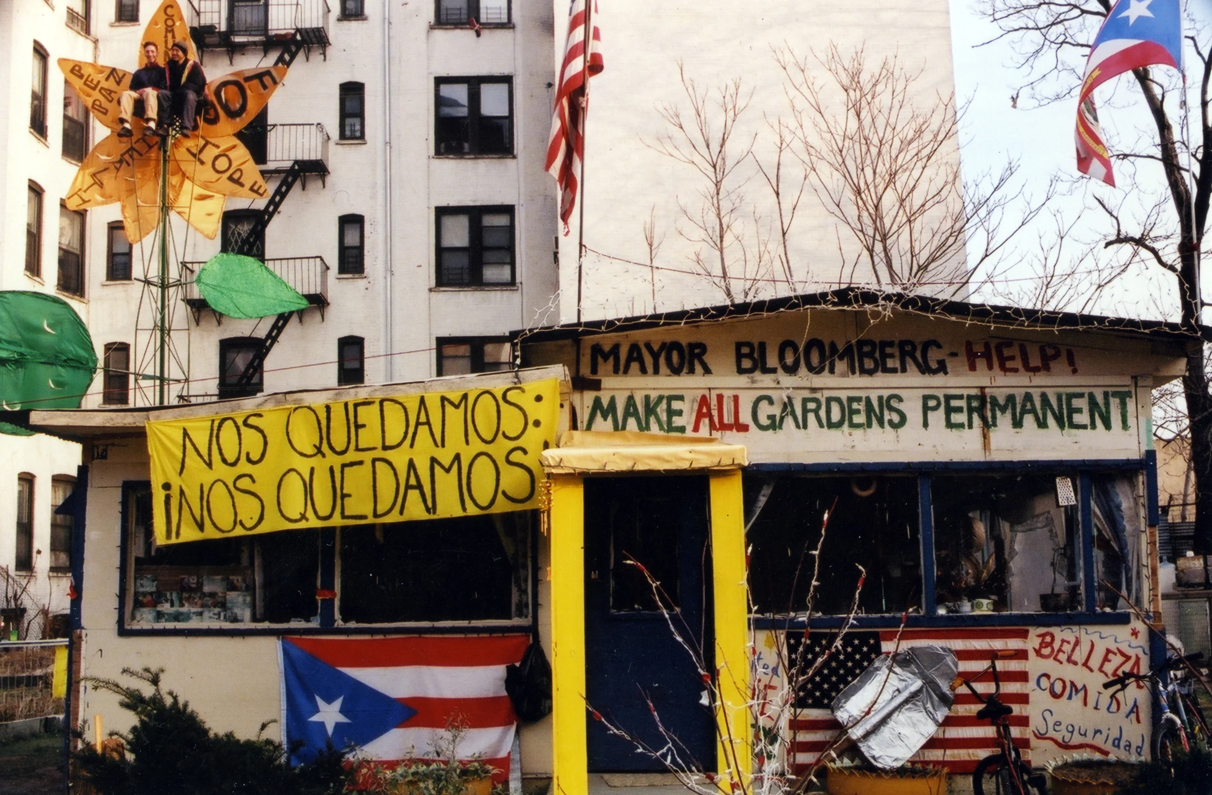 Image-196.jpg