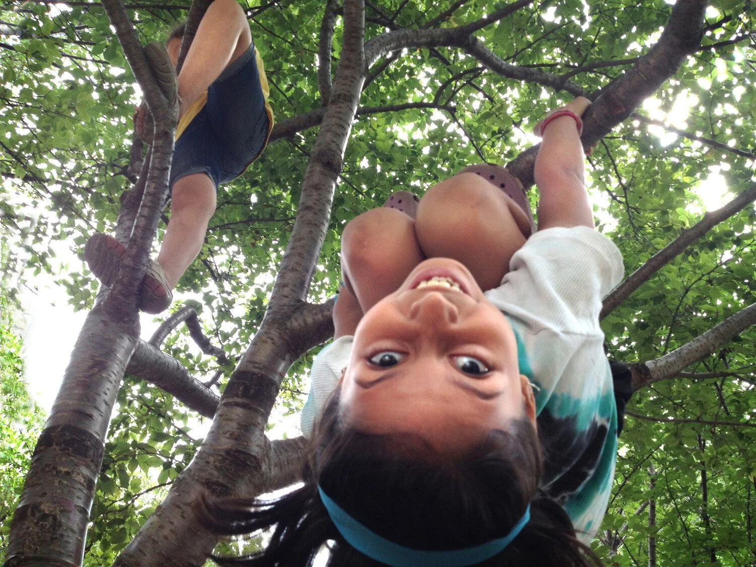camp+climb+on+cherry+tree.jpg
