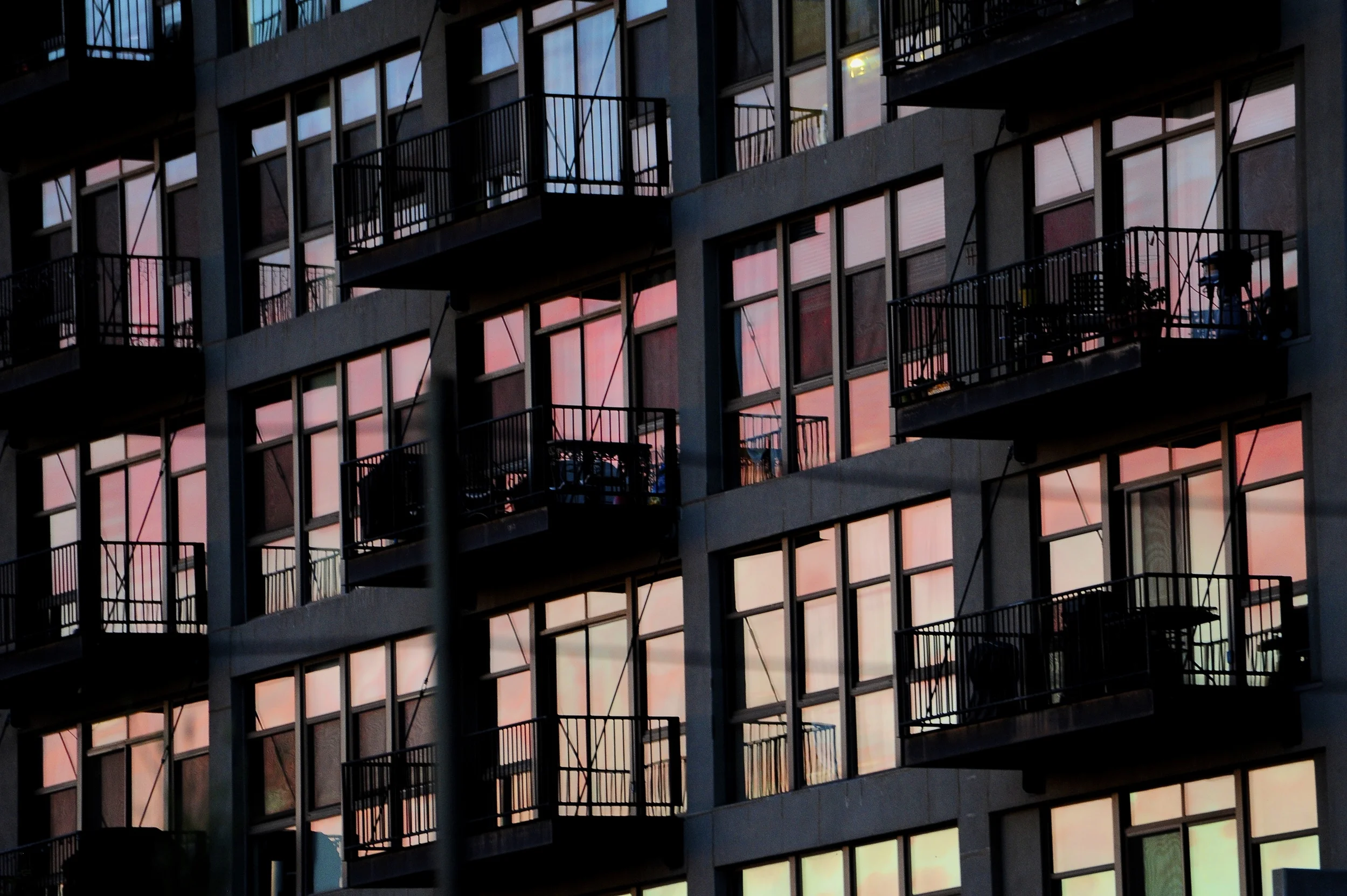 _DSC3117 - Version 2.jpg