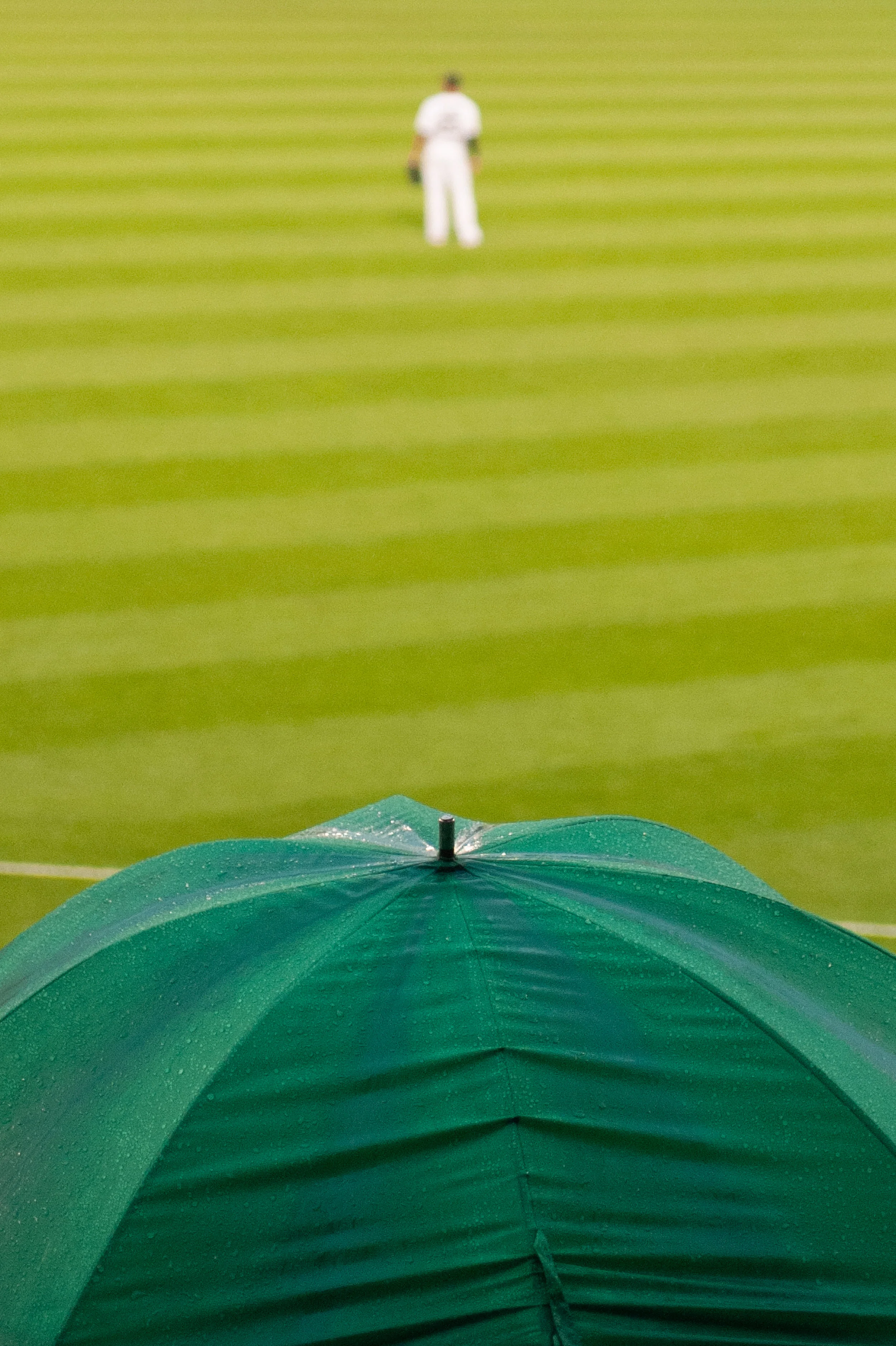 DSC_5664.jpg