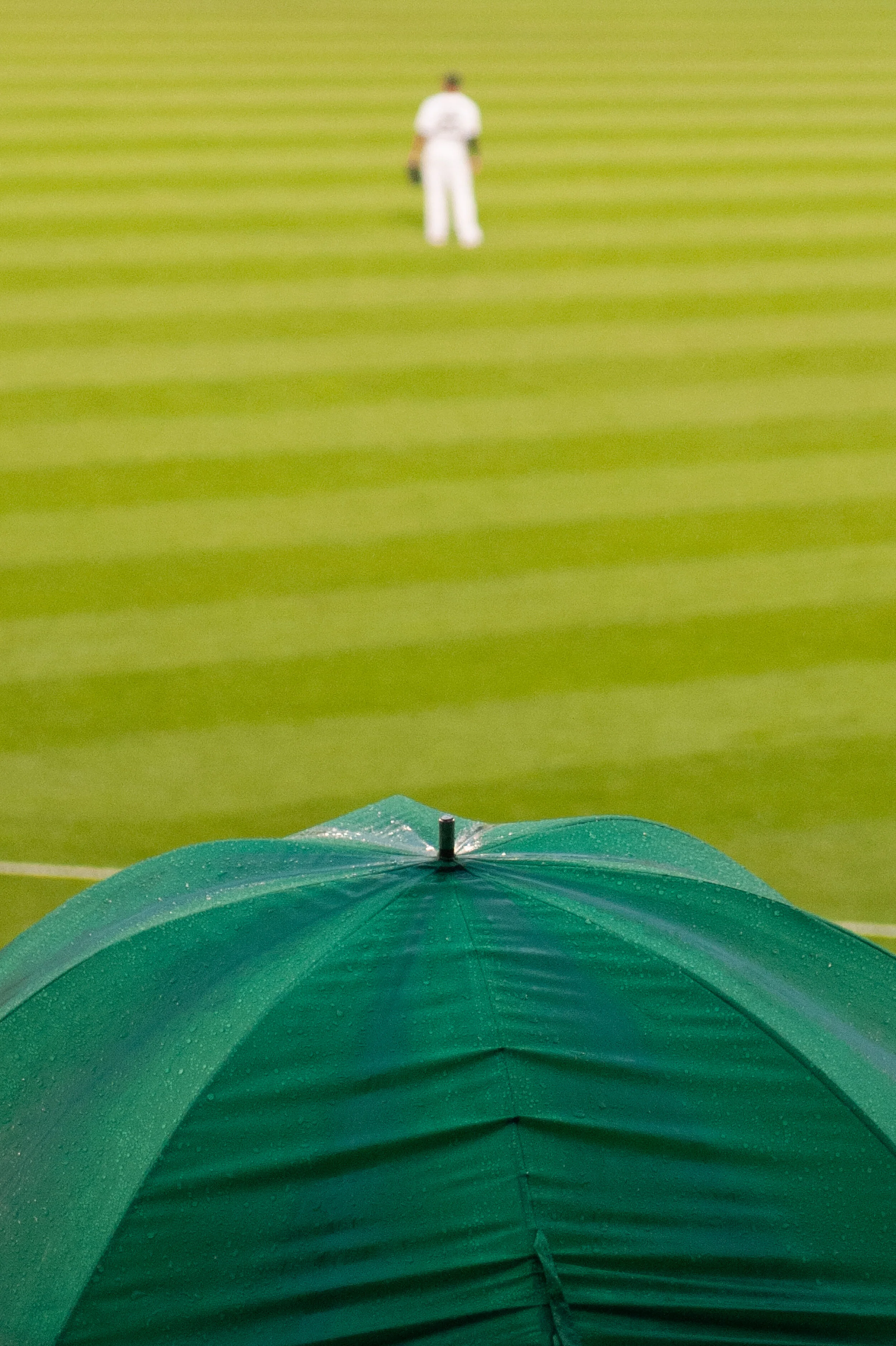 DSC_5664.jpg