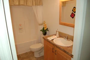 STANDARD MAIN BATH VANITY (NATURAL OAK CABINETRY)