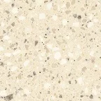 Fossil