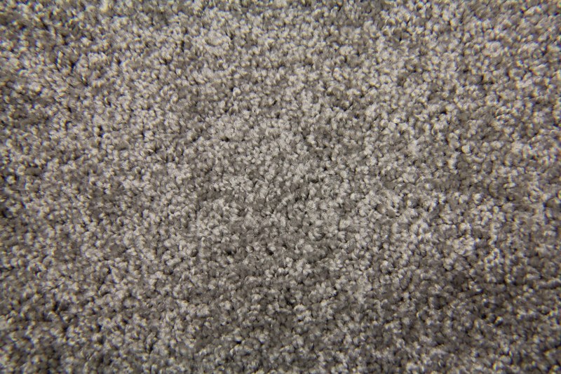 Dove Gray