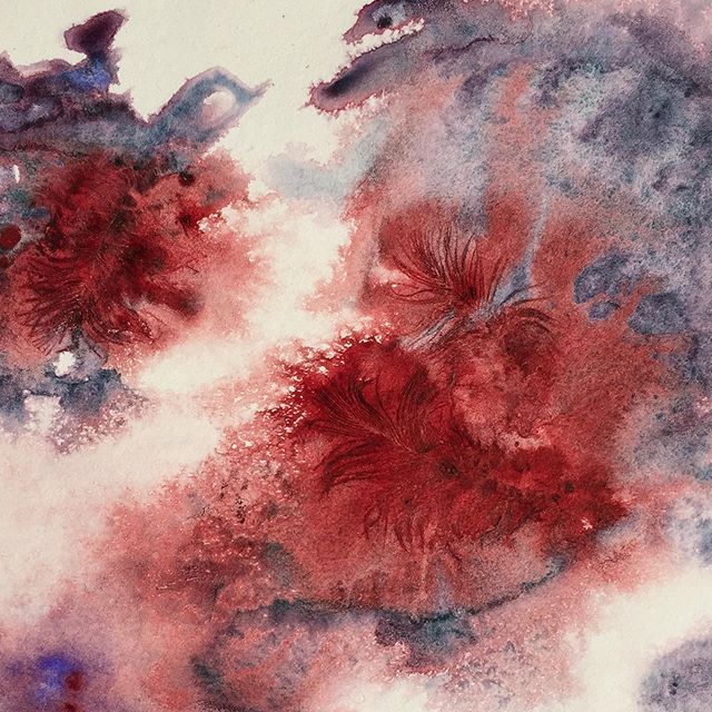 Wounded Bird
Detail from recent watercolor painting.
&copy;️Bronwyn Voth
#watercolor #watercolour #paint #art #perylene #bird #feathers #abstract #DanielSmith #artmart #blickartmaterials #STL
@artmartstl