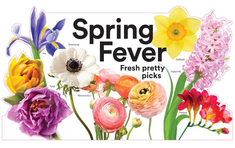 SpringFever_24x14_diecut_March2018-1.jpg