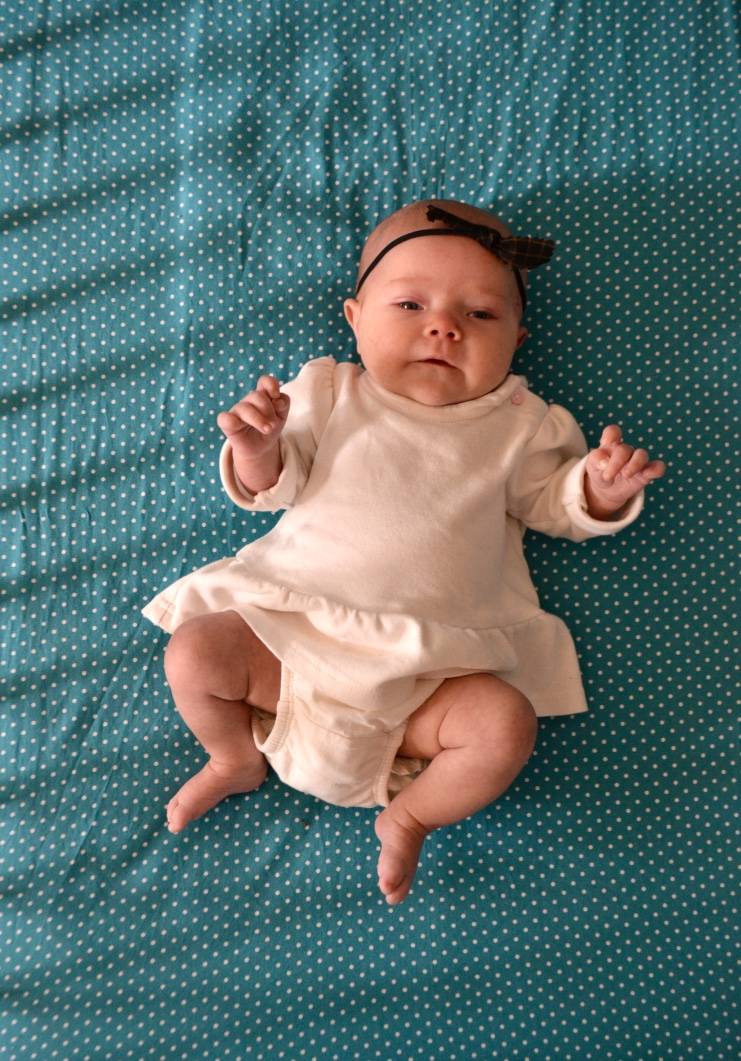 thumb_DSC_1142_1024.jpg