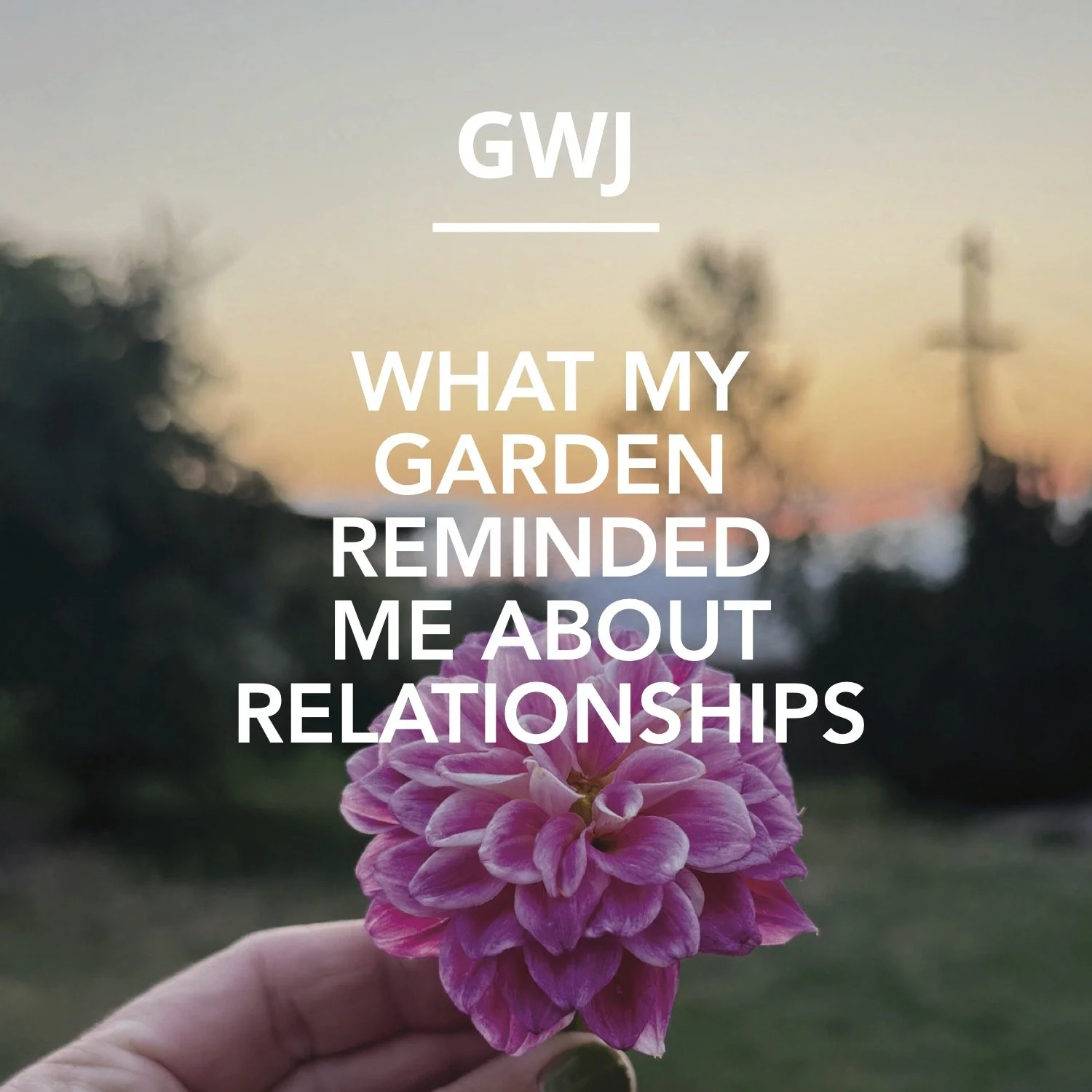 What My Garden Reminded Me About Relationships