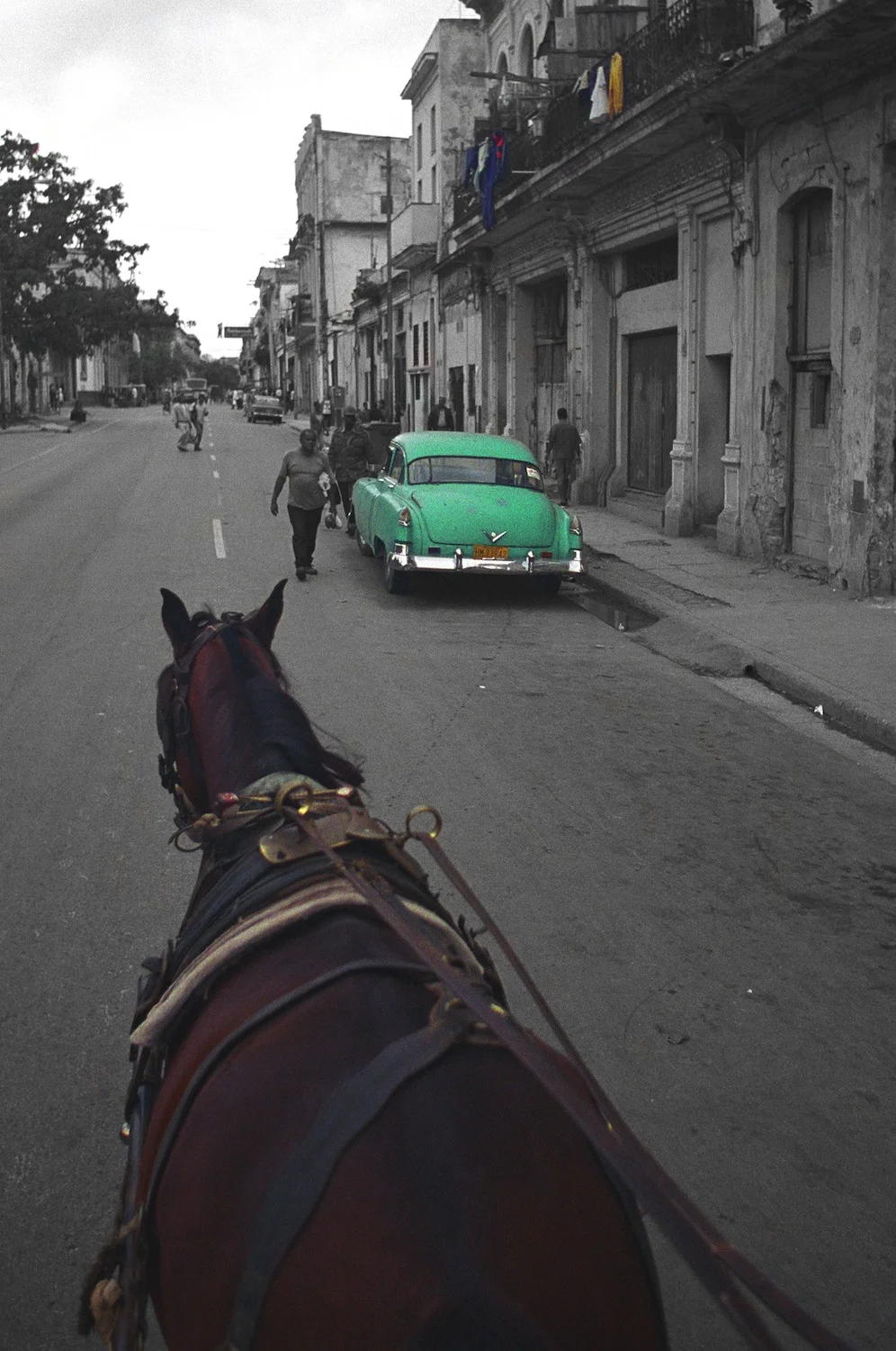 MikeShapiro_Cuba_Horse.jpg