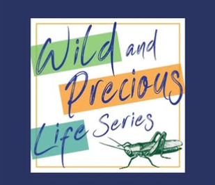 Reading at WILD AND PRECIOUS LIFE