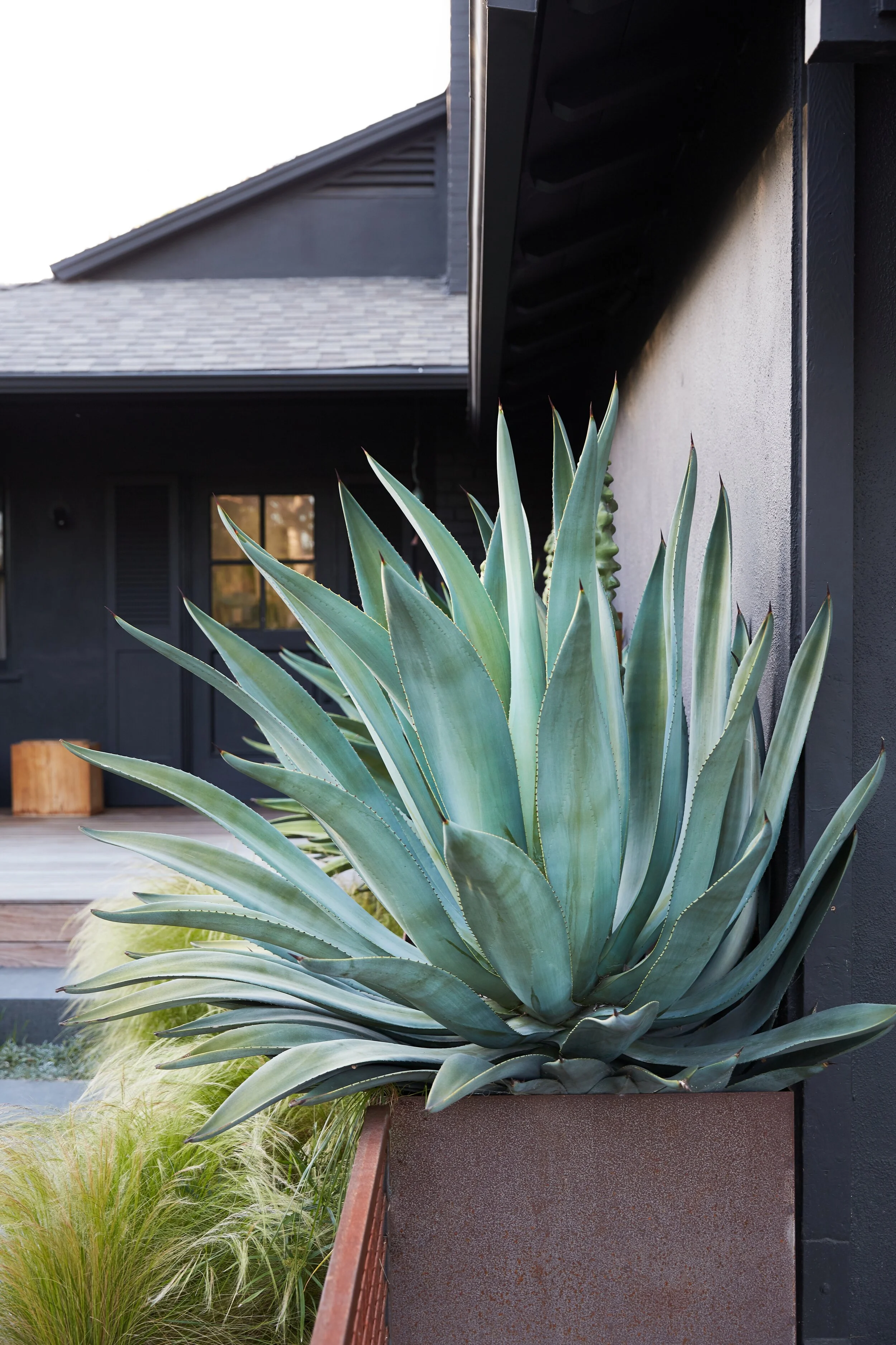 20190410 - TerreMoto Yanai 431.JPG