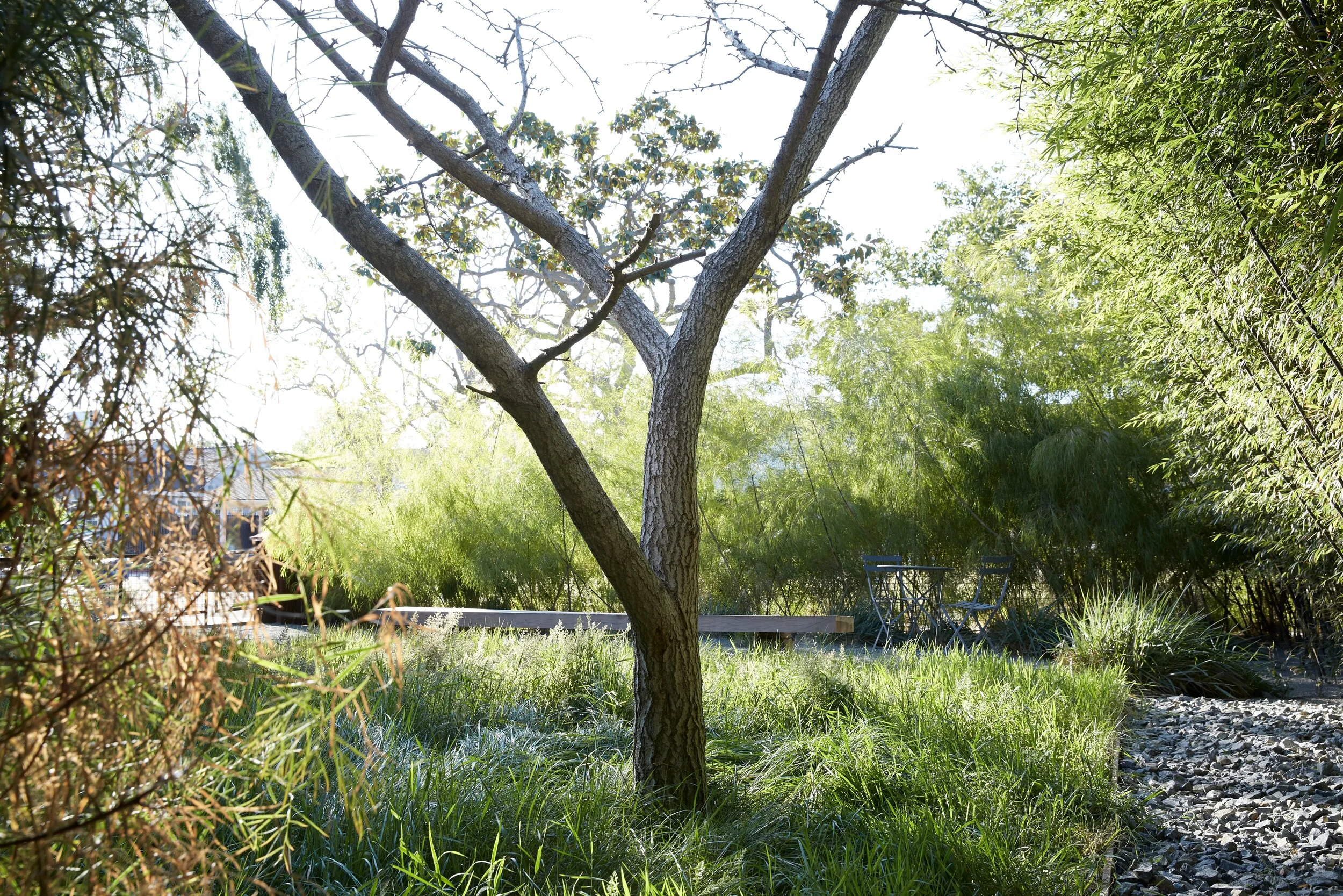 20190410 - TerreMoto Yanai 060.JPG