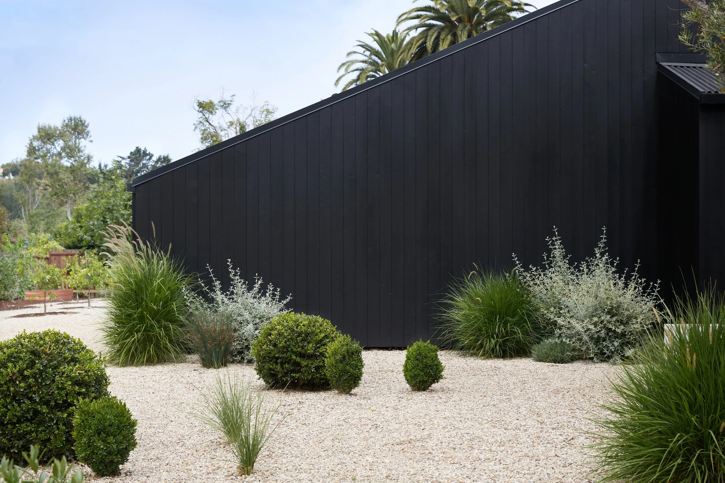 20200612 - Terremoto Zuma 0337.JPG