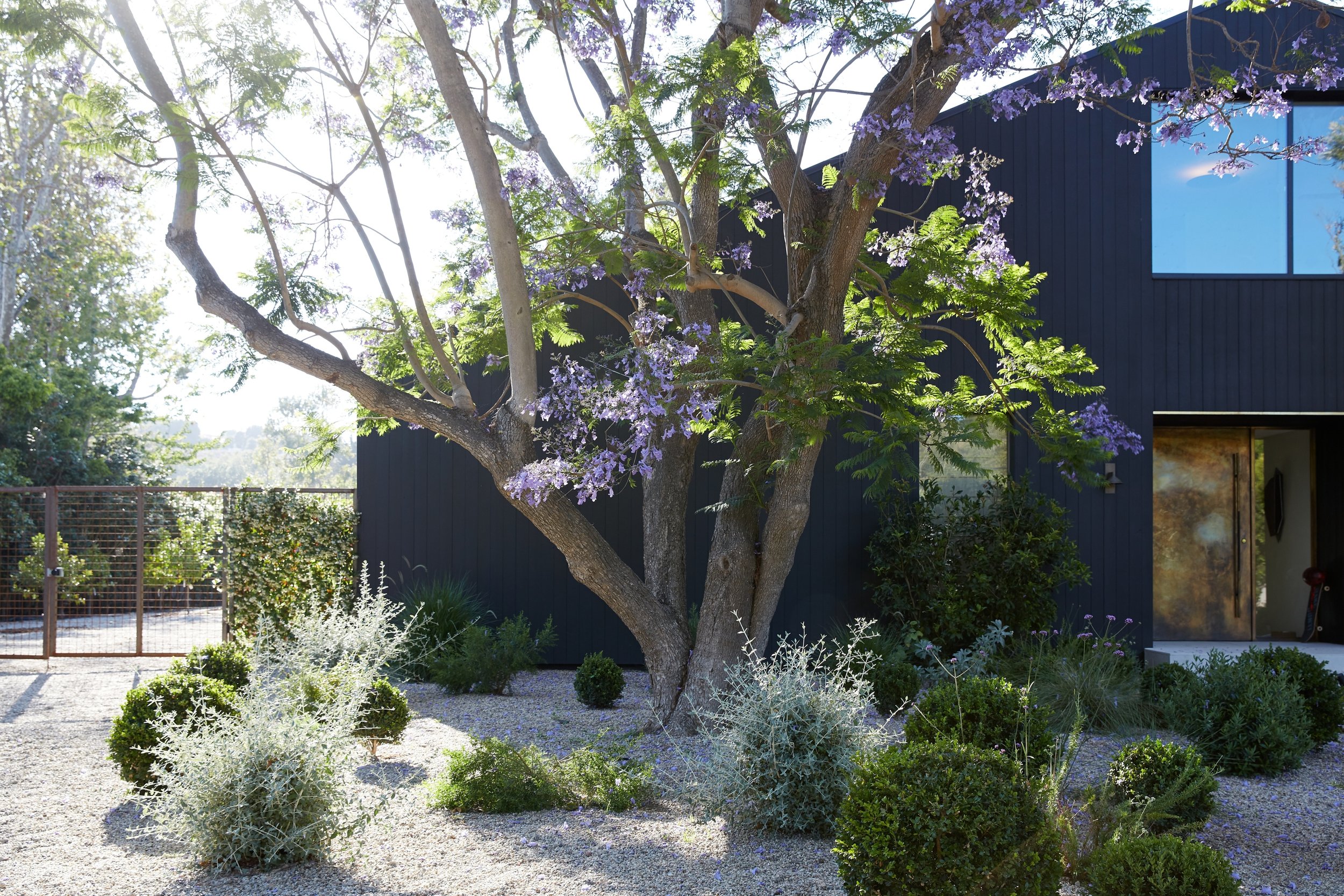 20200612 - Terremoto Zuma 0554.JPG