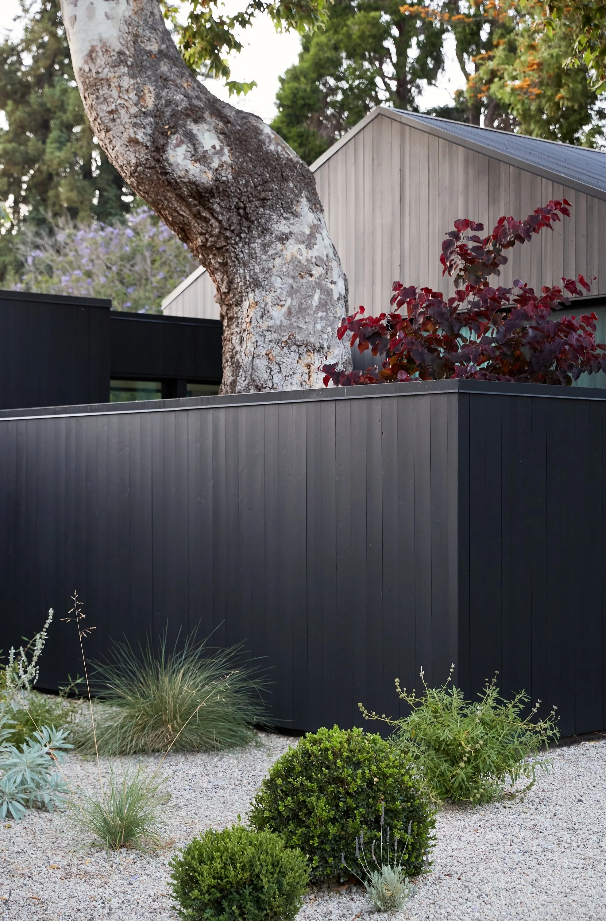 20200612 - Terremoto Zuma 0810.JPG