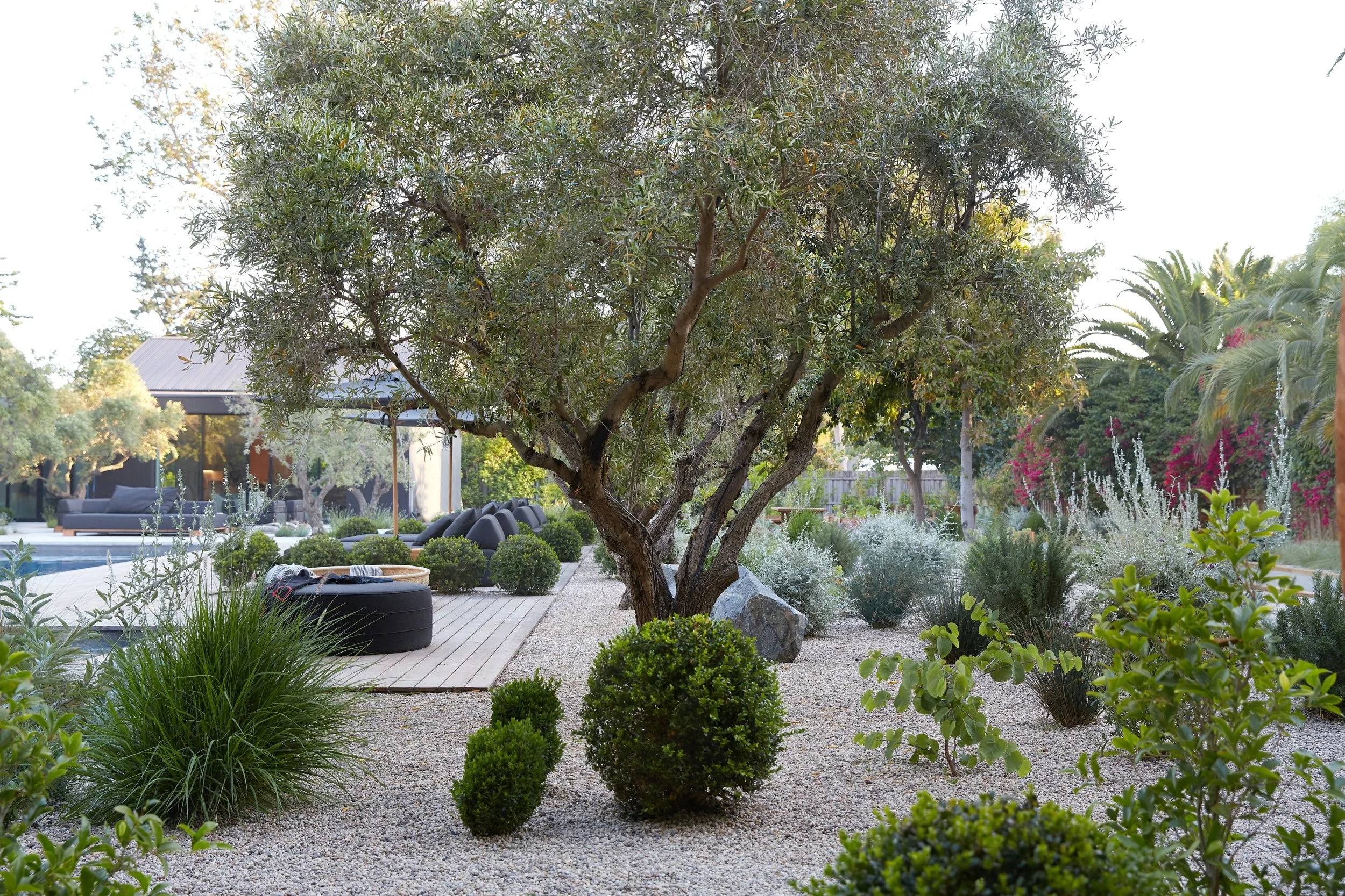 20200612 - Terremoto Zuma 0737A.JPG