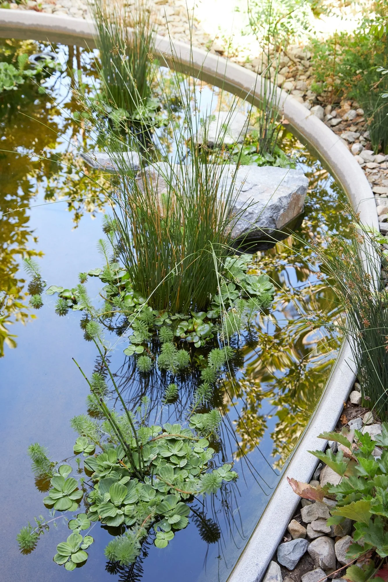 20220512 - Terremoto KX Lab 0231.JPG Web 2000.JPG