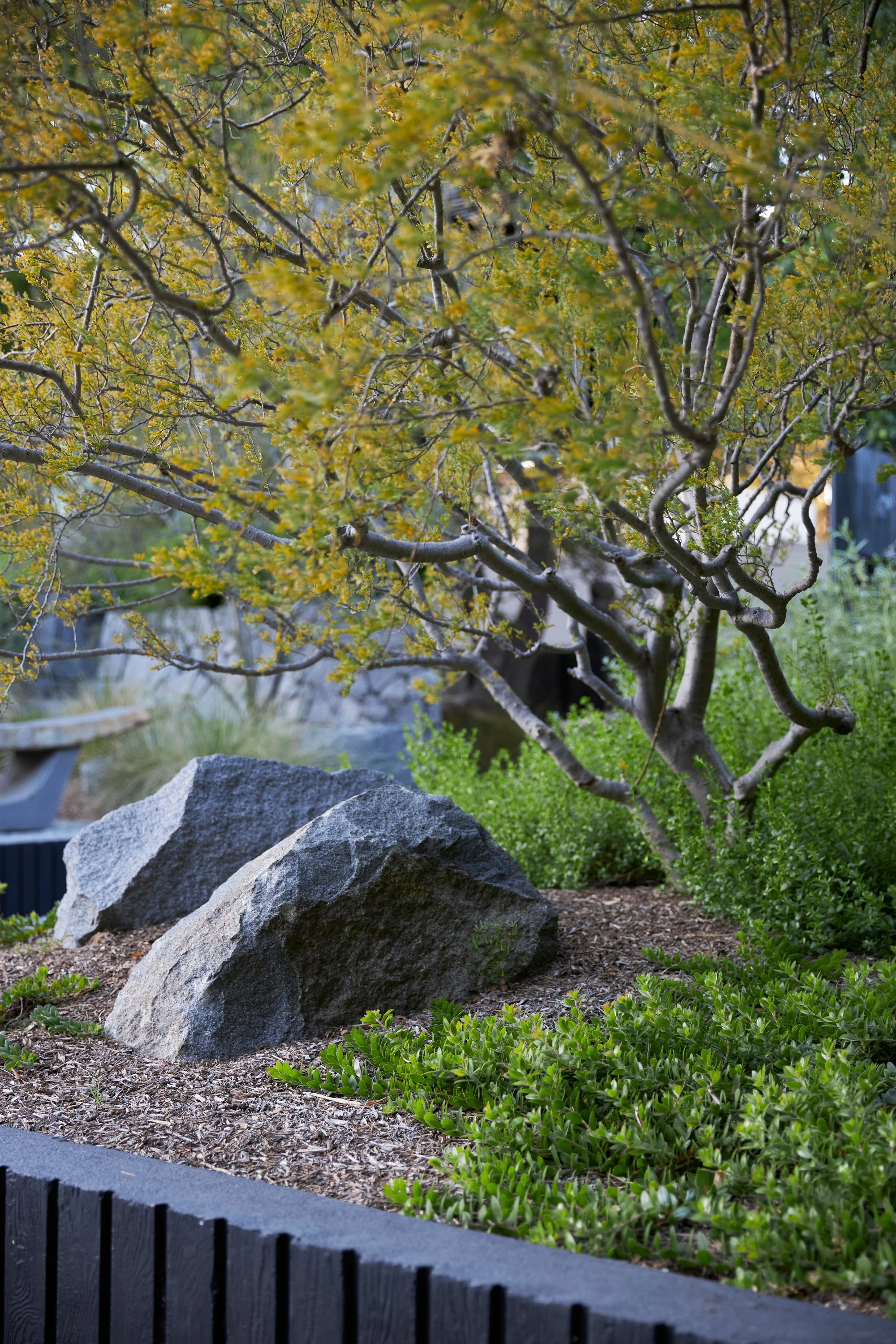 A. Quincy Jones Terremoto 014.JPG