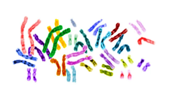 The Breast Cancer Genetics Revolution