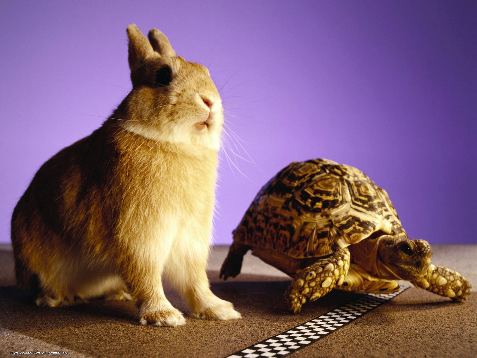 Updates from ASCO 2015: Slow and steady progress in the fight against breast cancer…