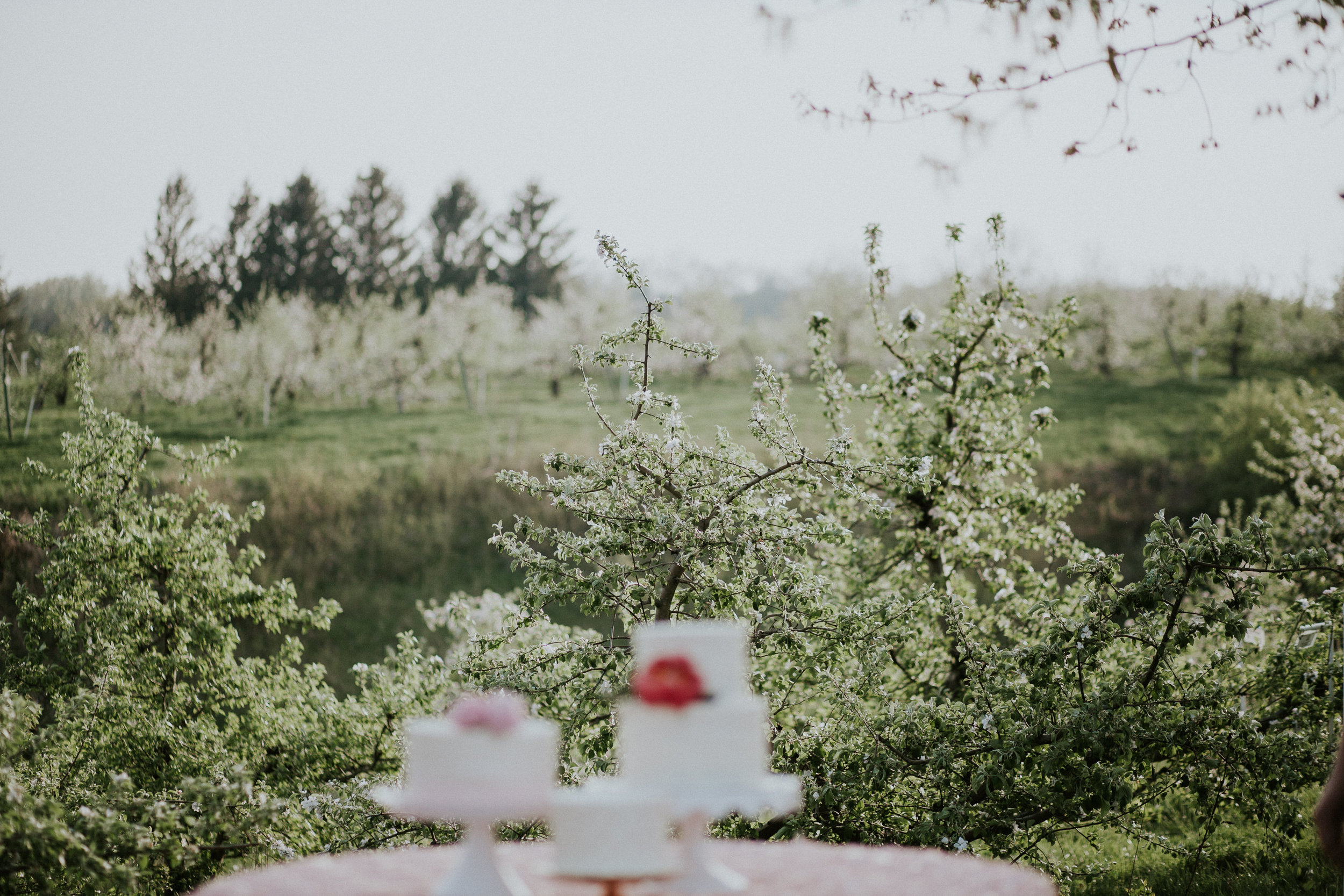 Styled Shoot Modern Whimsical-Modern Whimsical-0110.jpg