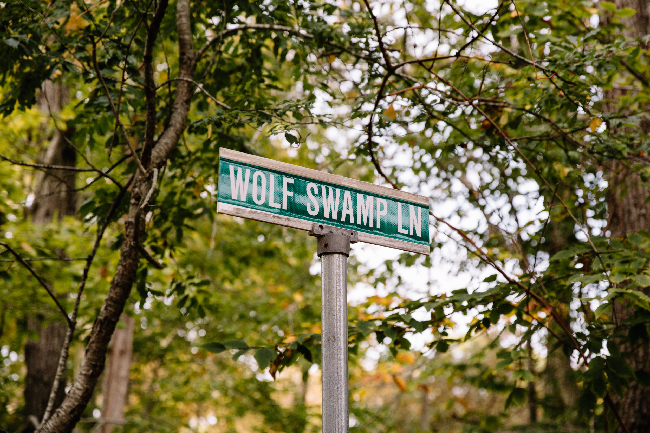 wolf swamp lane-1.jpg