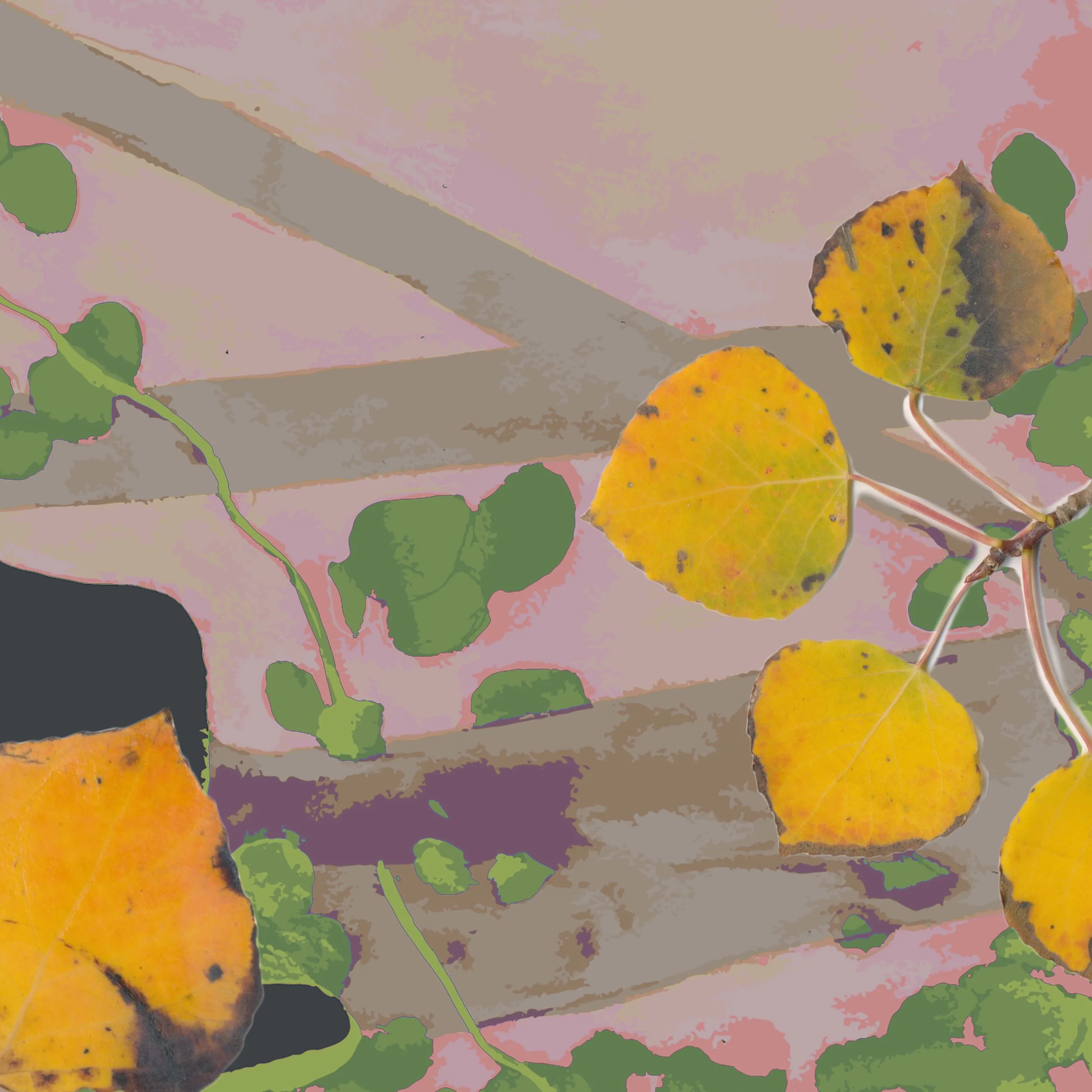 4-peach.jpg