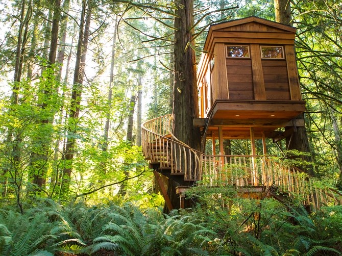 Britney Spears Would Love These High-Design Tree Houses