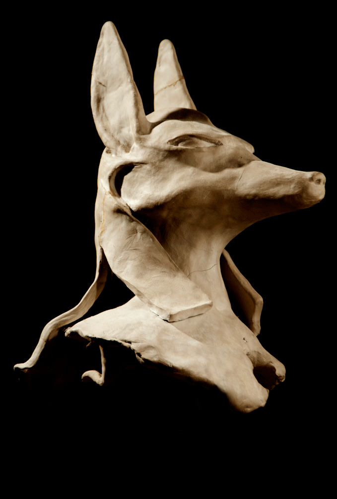 Anibus