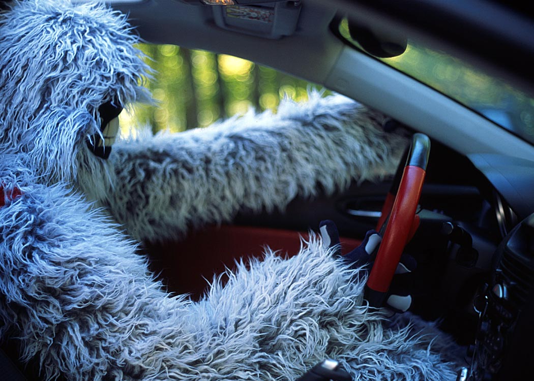 fullyeti6.jpg