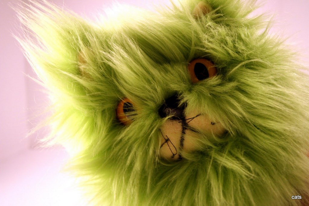 kitten-ball_green.jpg