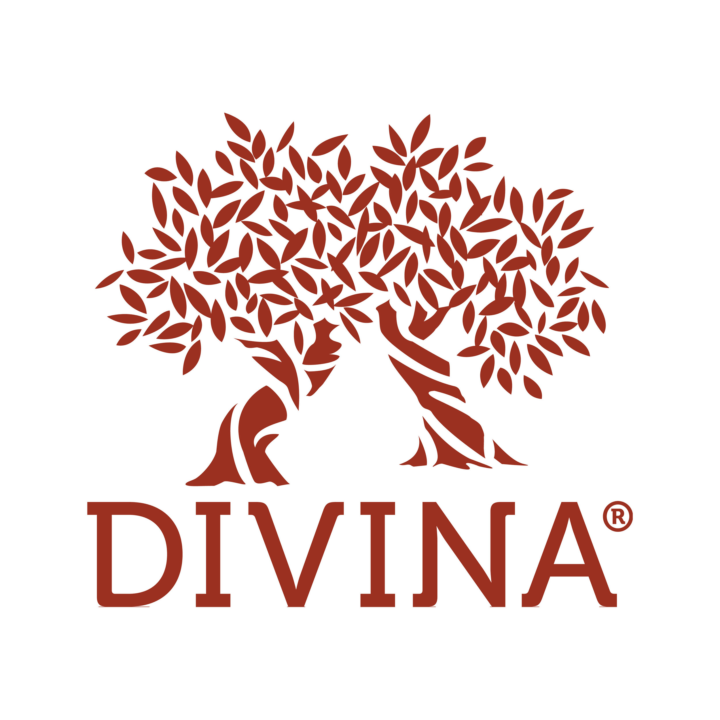 Divina-Logo-1.jpg