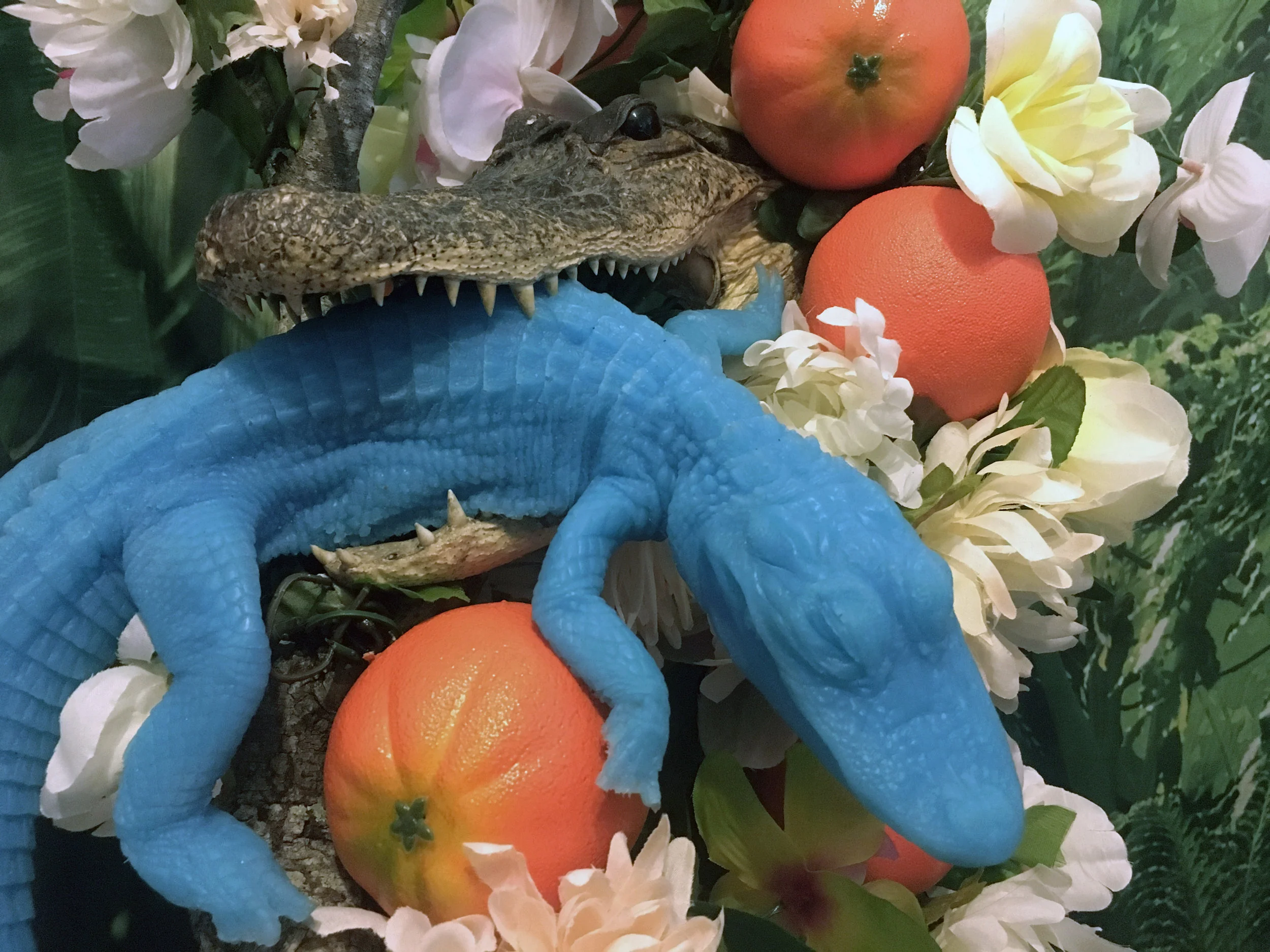 Chomp