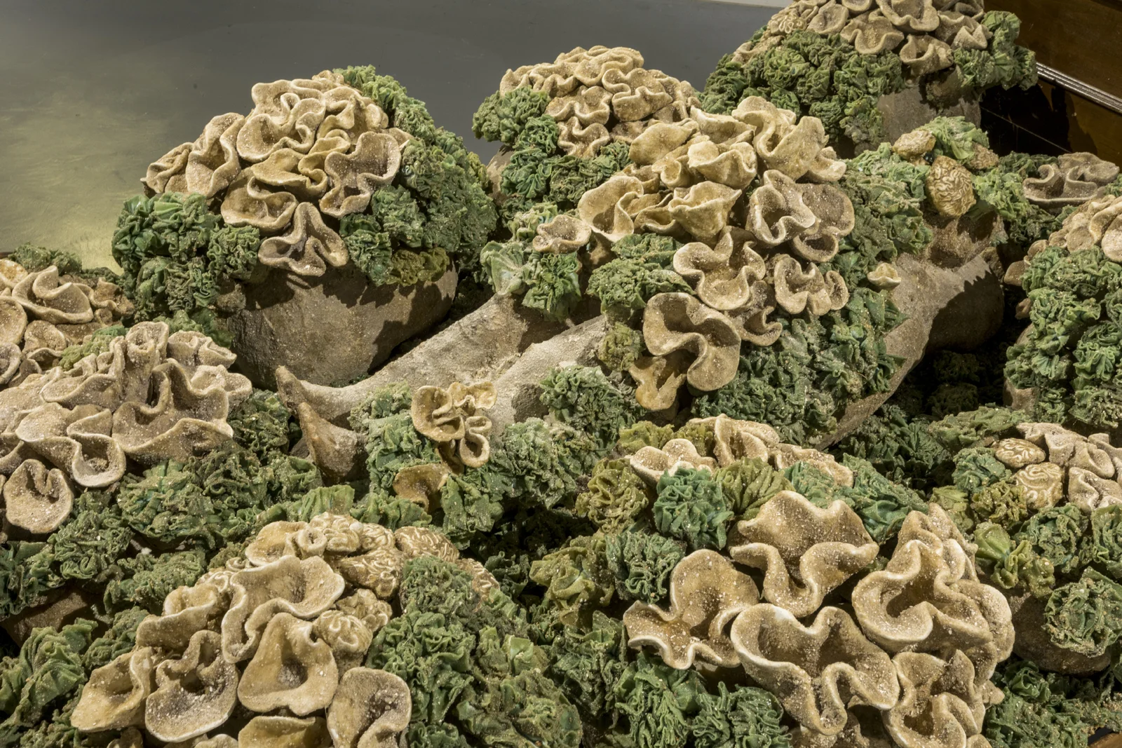 Colony III- Detail