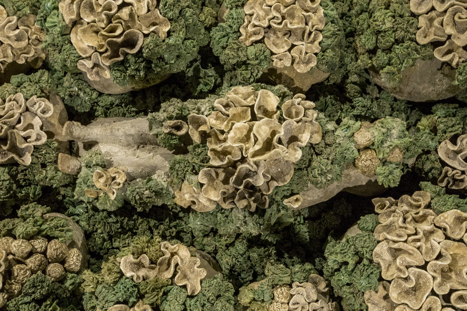 Colony III- Top View