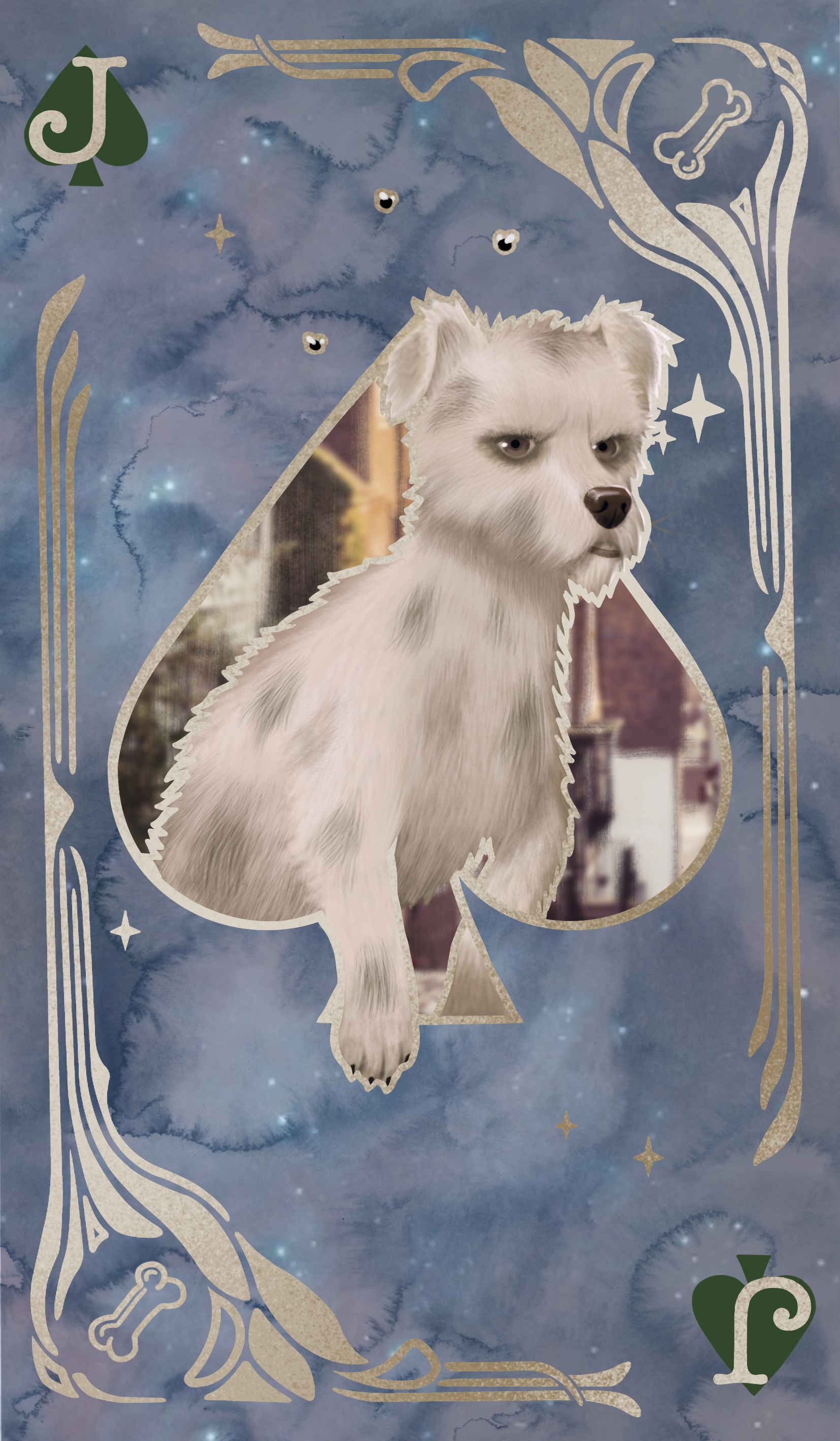 Jack_Of_Spades.png