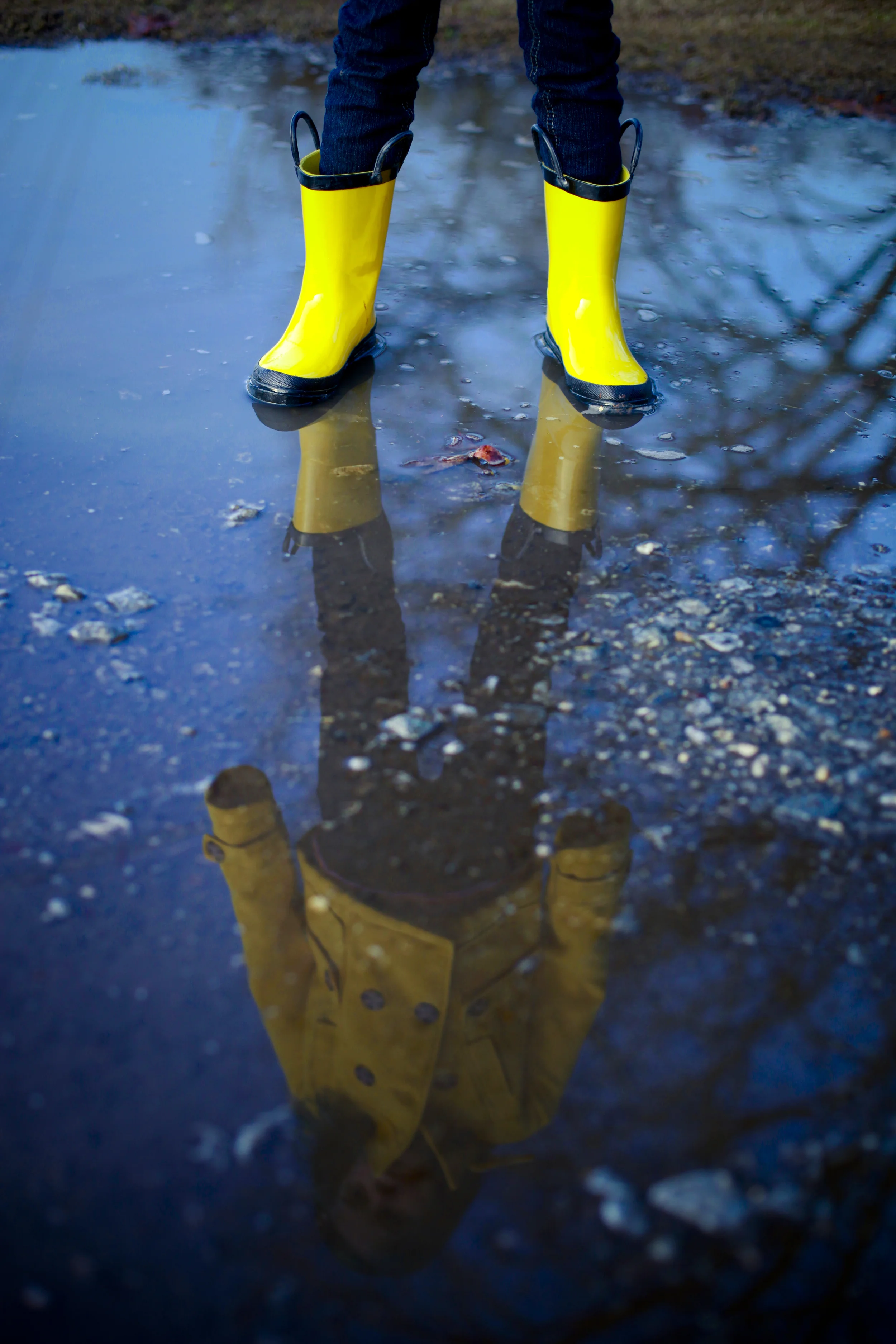 Coraline09.jpg