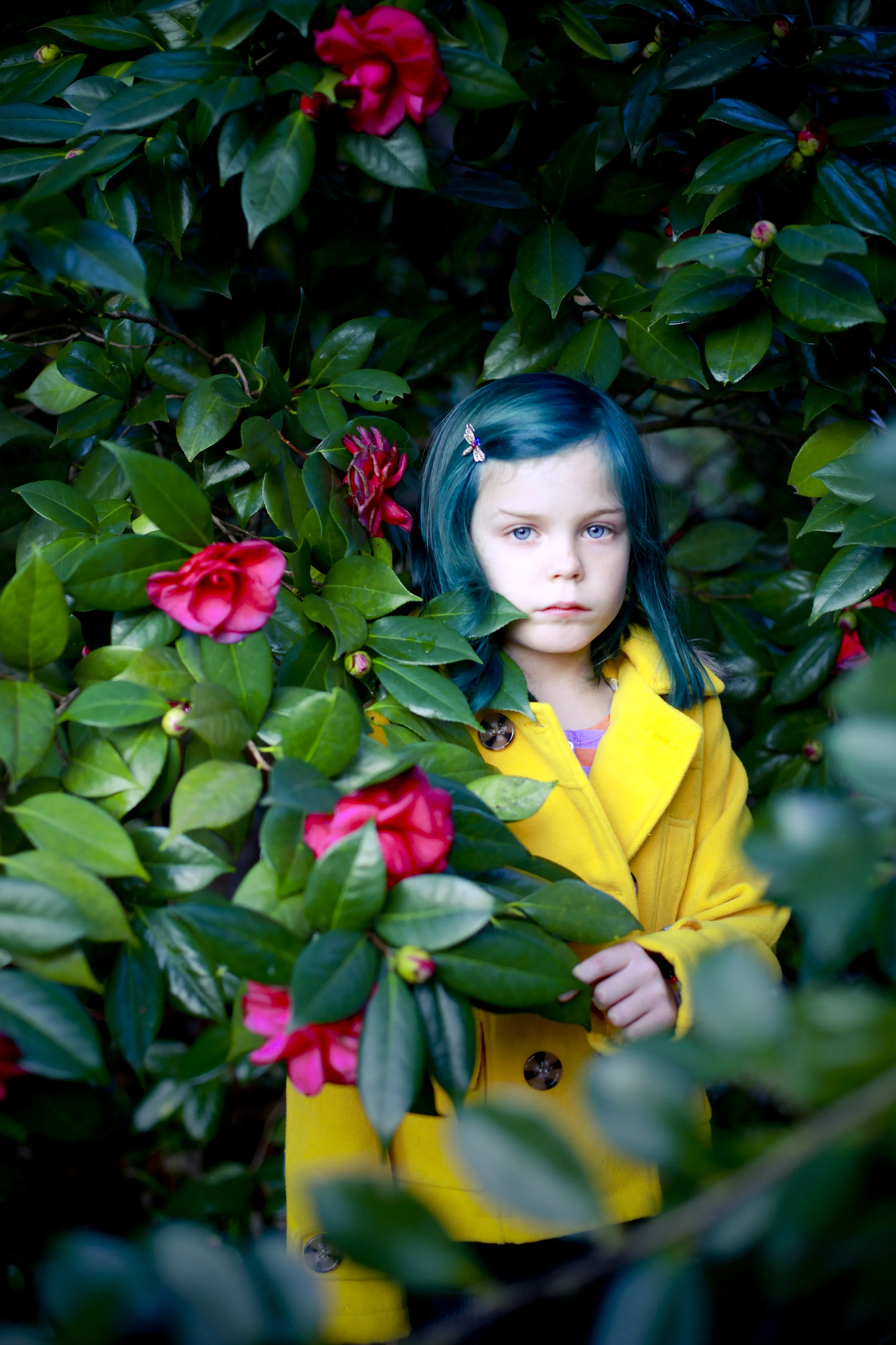 Coraline12.jpg