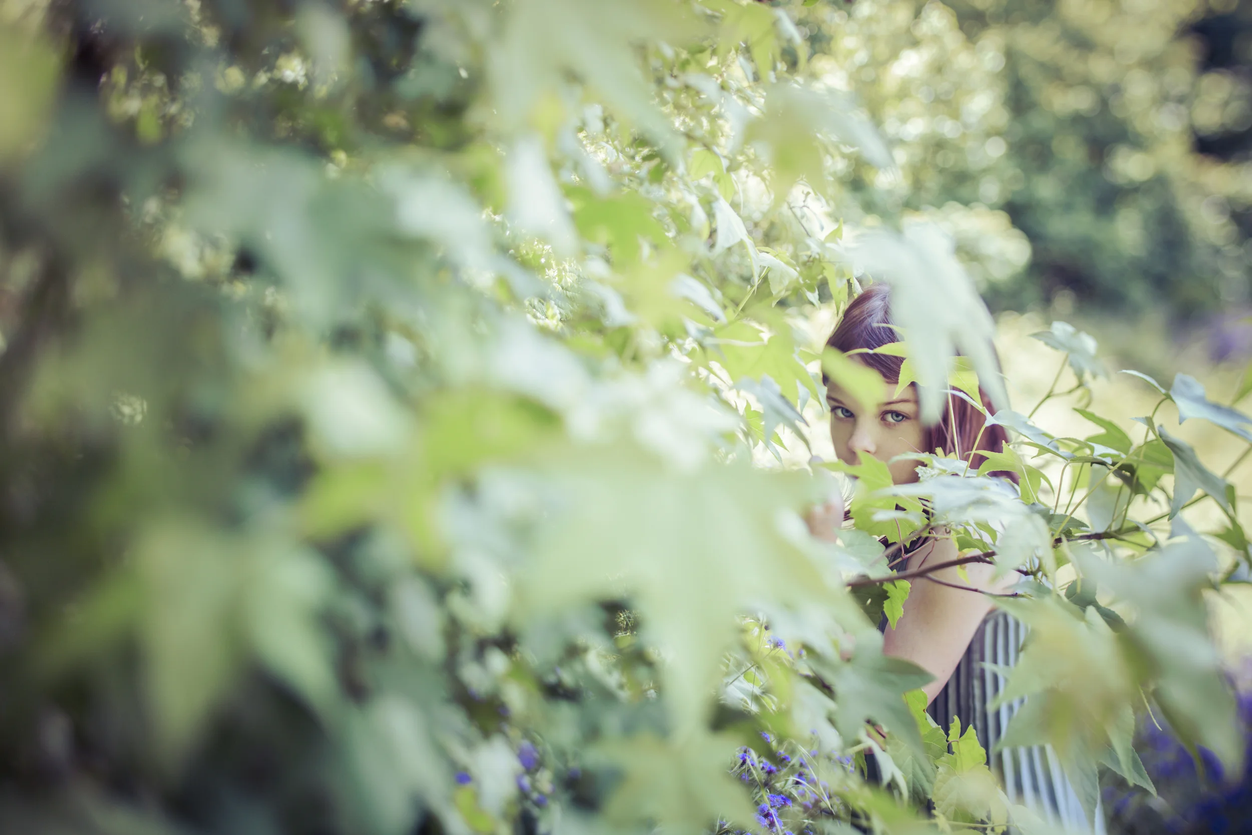 AlicePortfolio041.jpg
