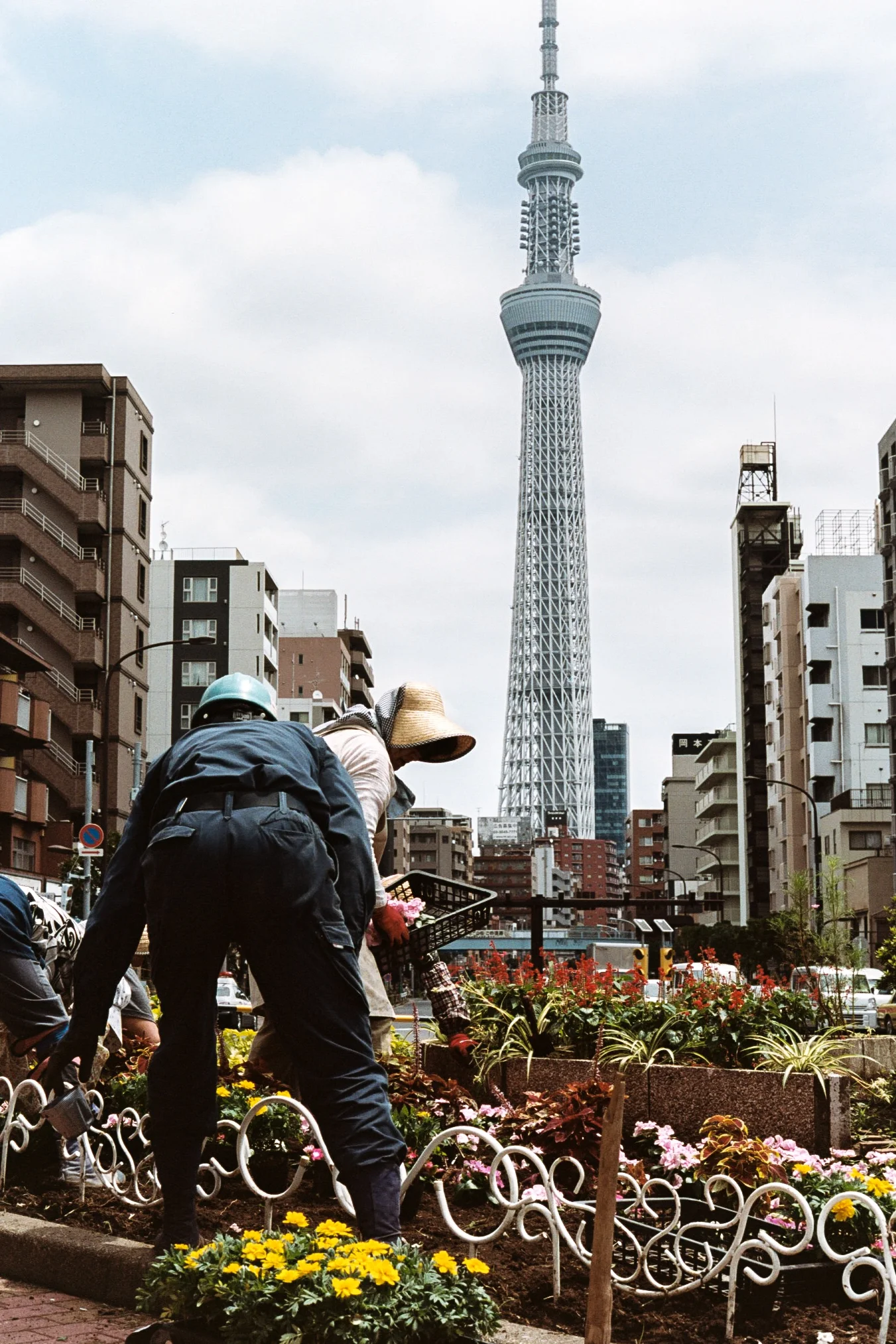 Tokyo6AA033A.jpg