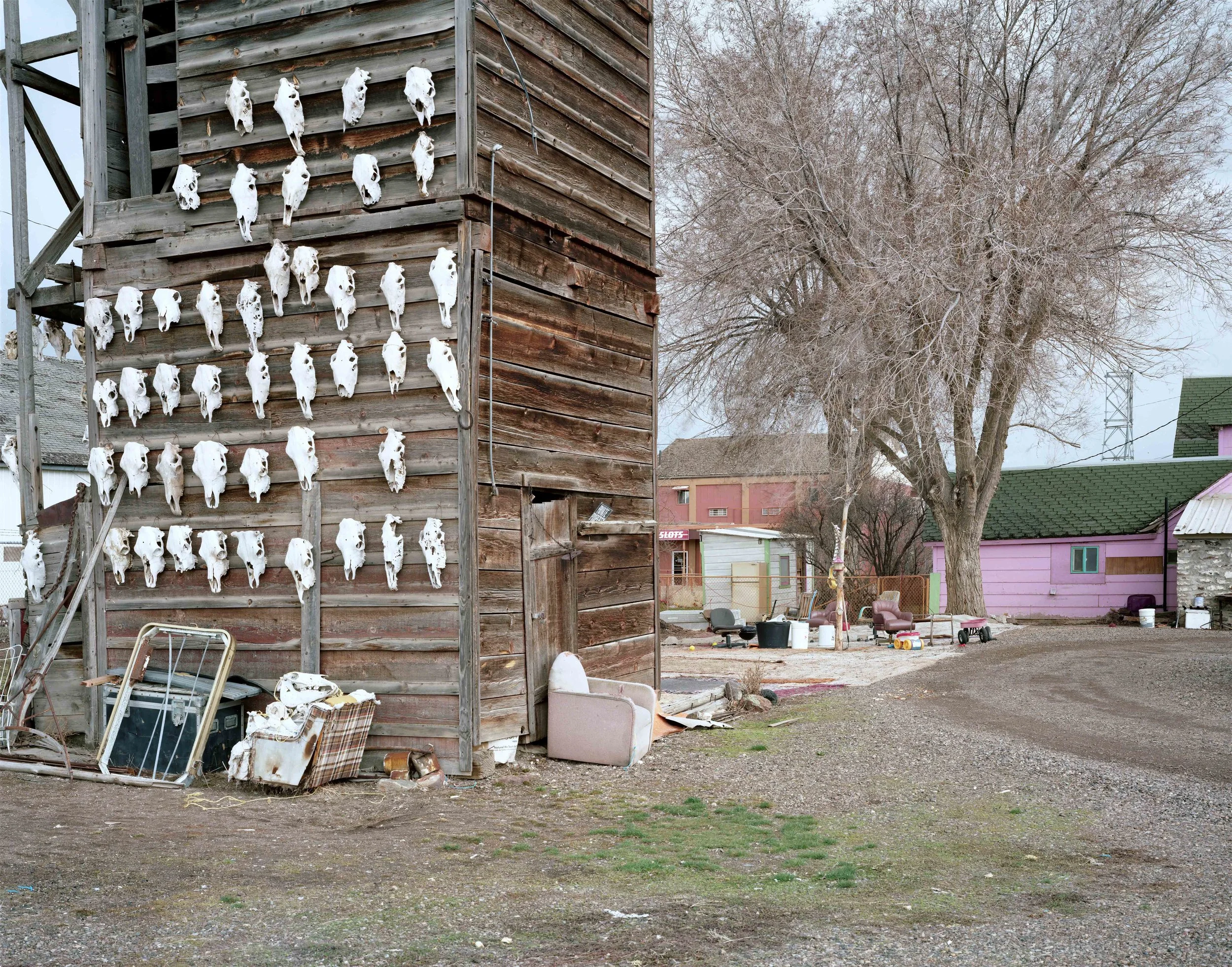 White Buffalo's yard, 2019