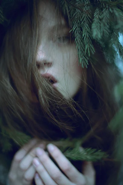 Welcome Green Beauties 